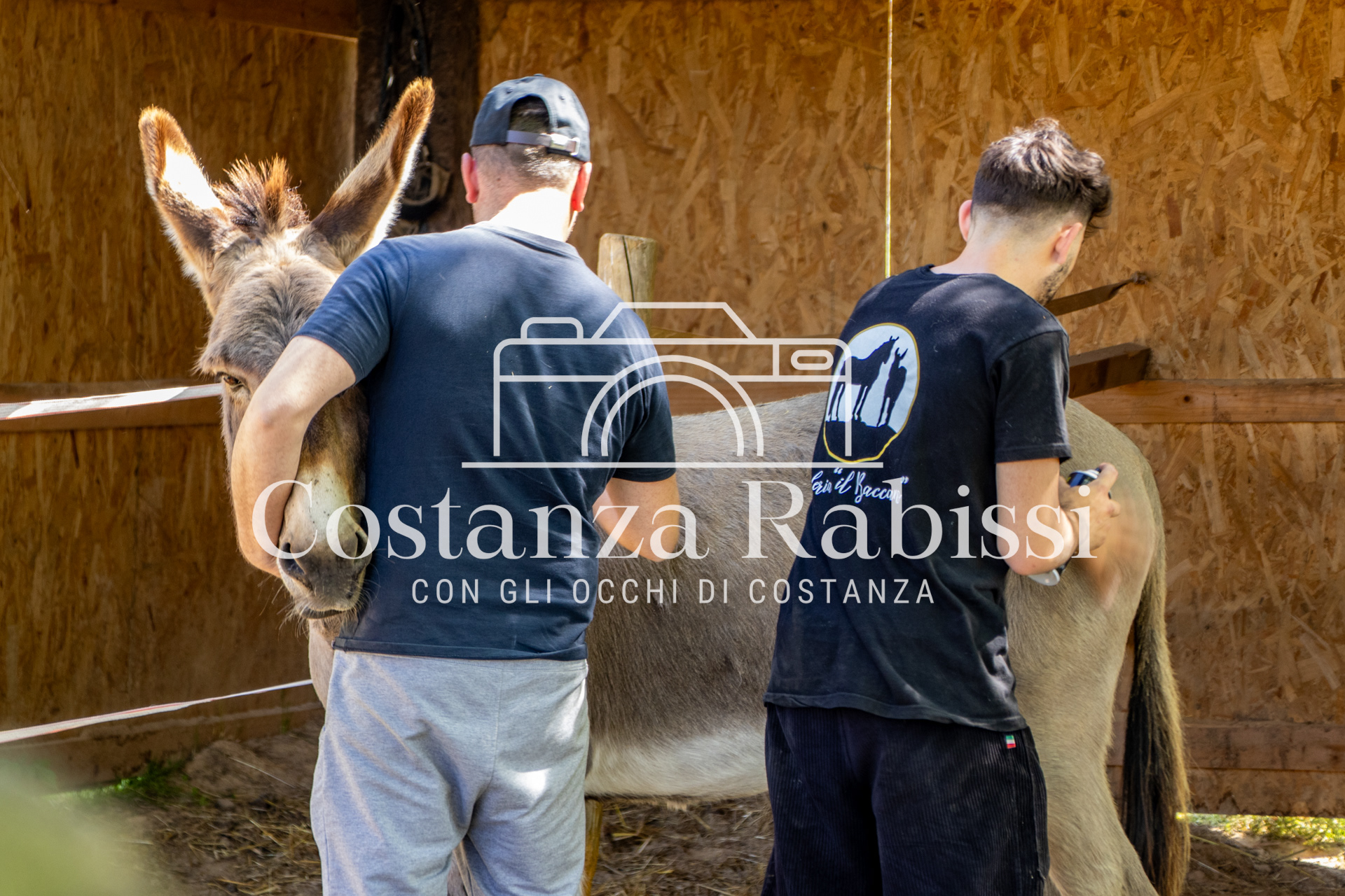 Meeting on the hills - 3