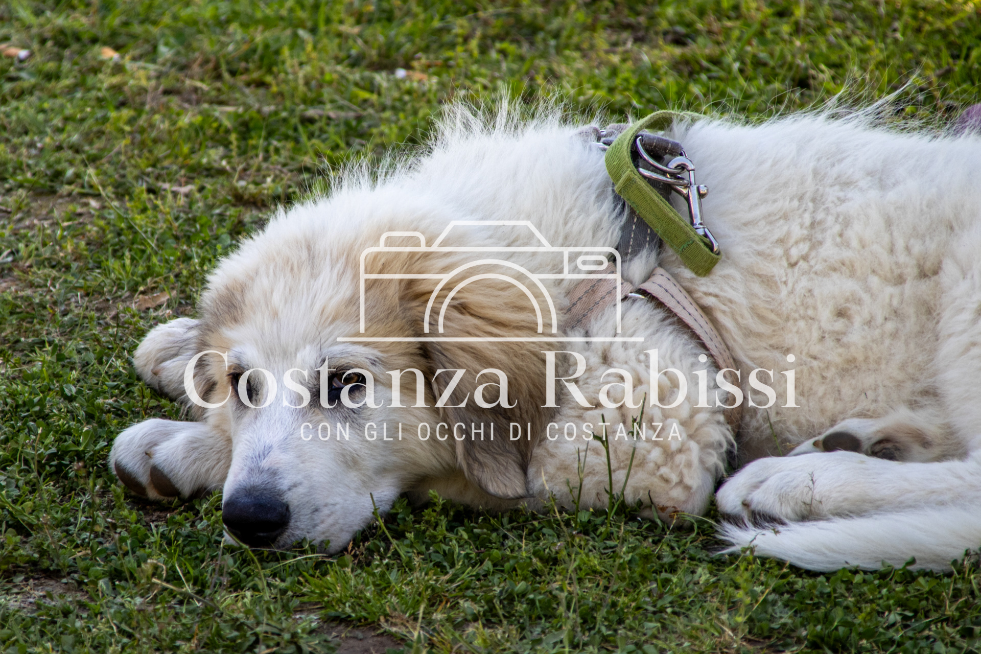 Meeting on the hills - 188