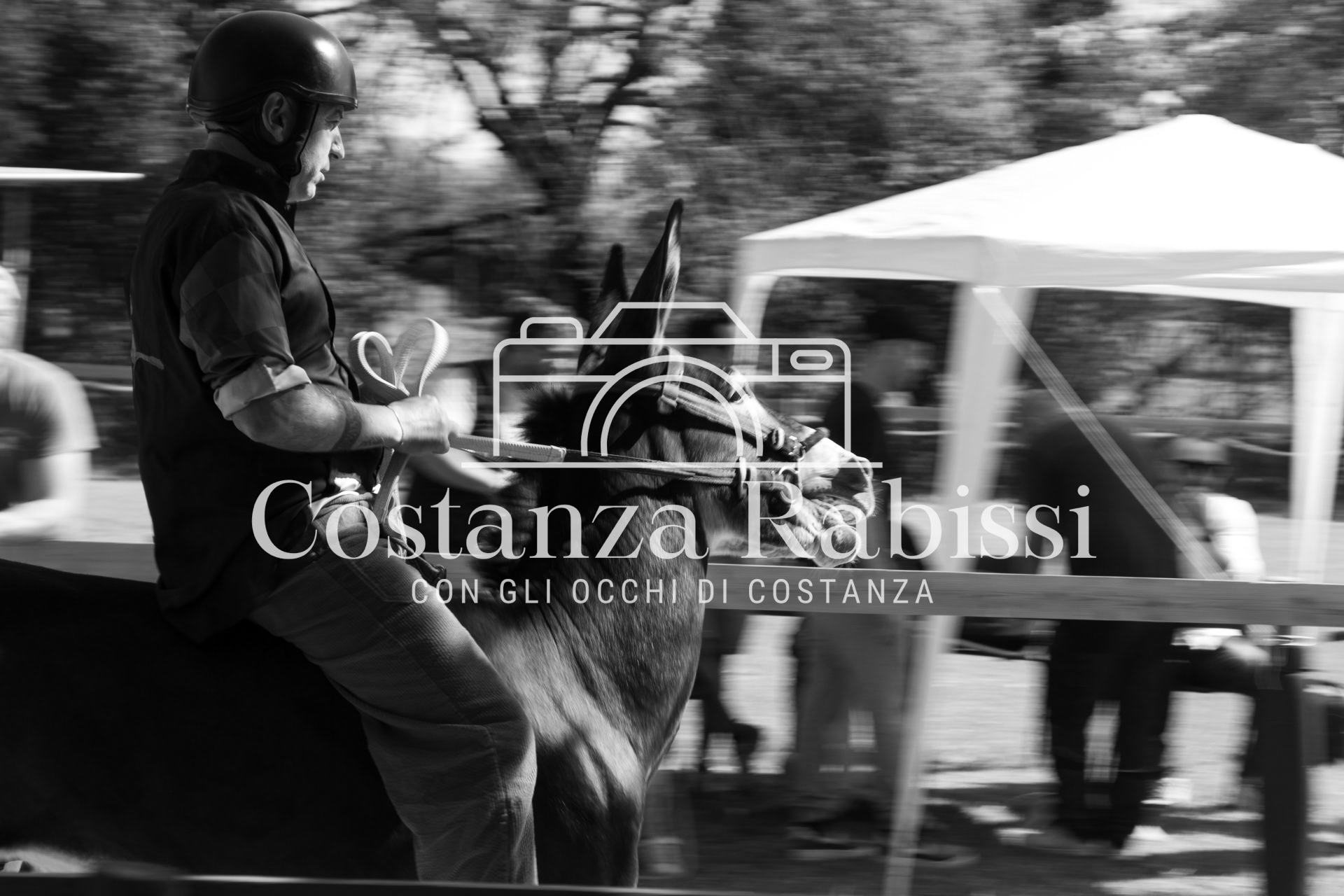 Meeting on the hills - 167