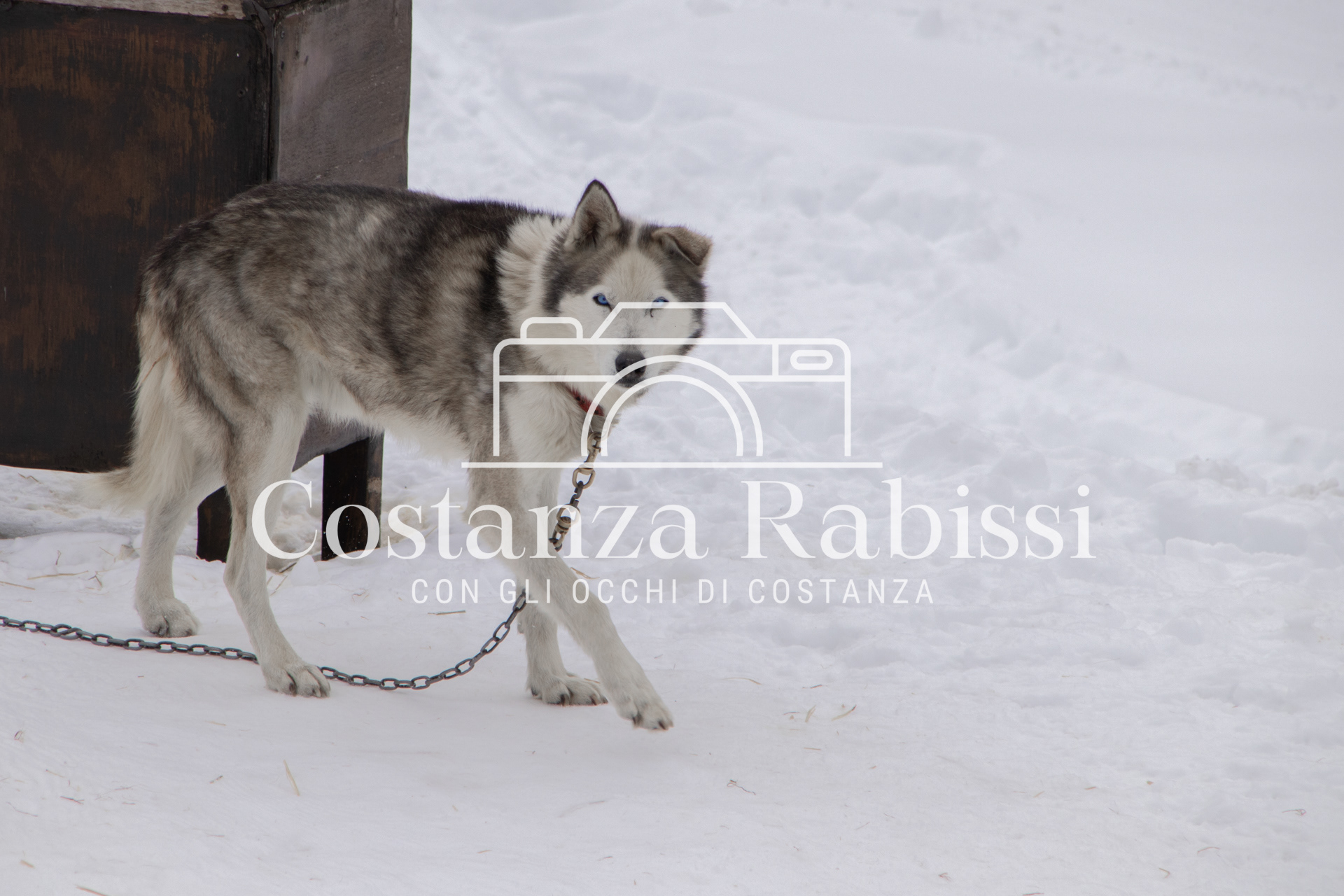 Passo del Tonale Inverno - 73