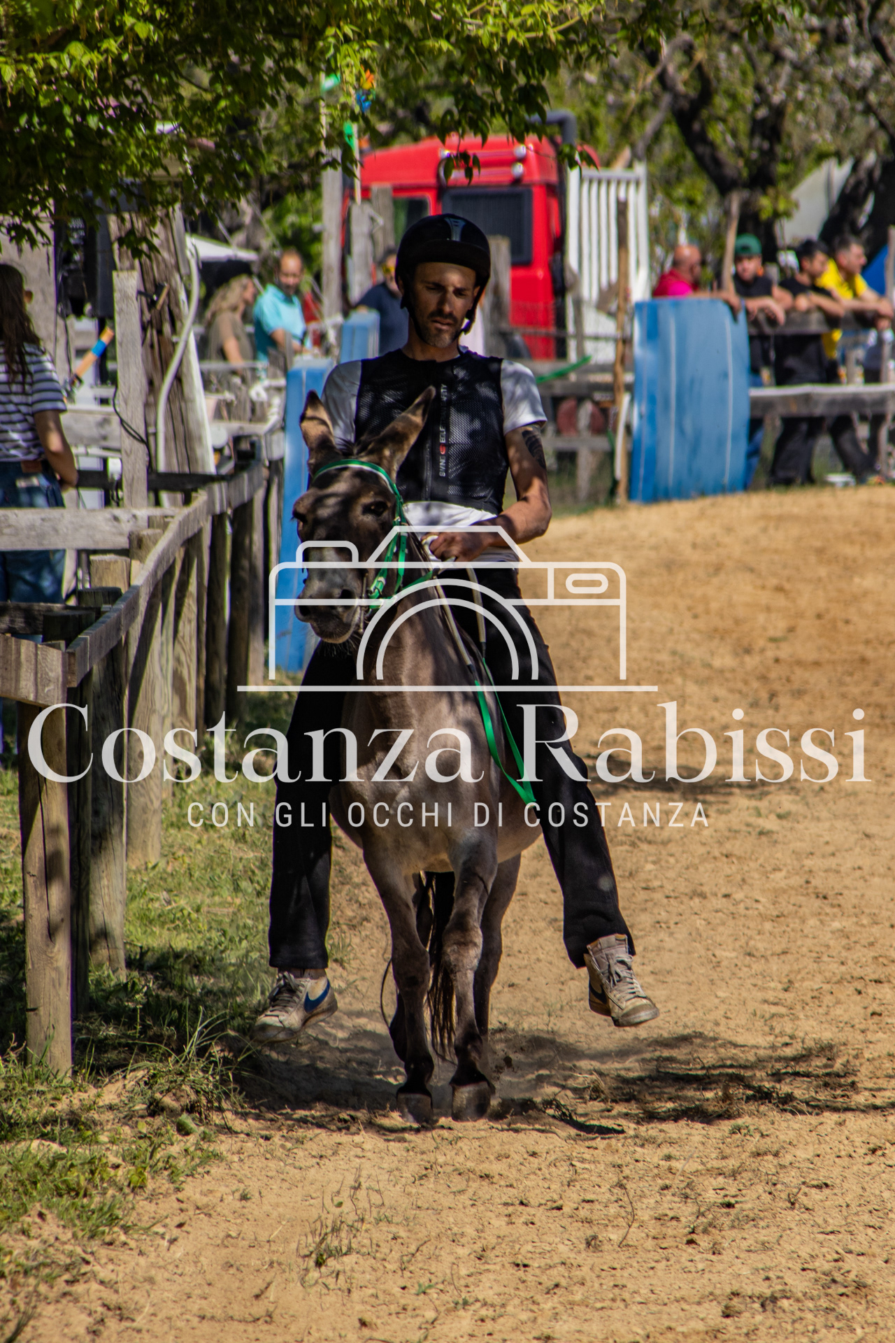 Meeting on the hills - 95