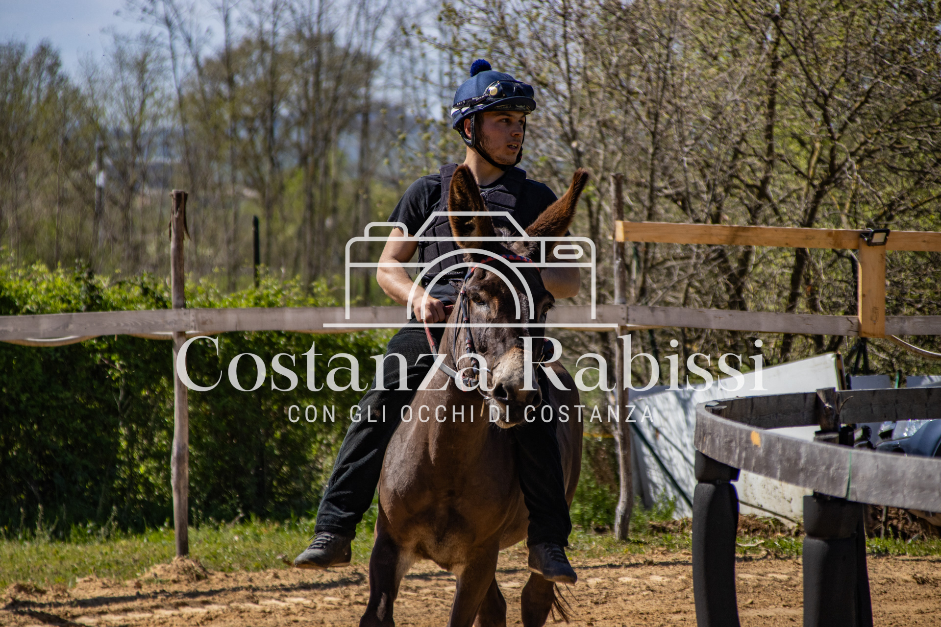 Meeting on the hills - 67