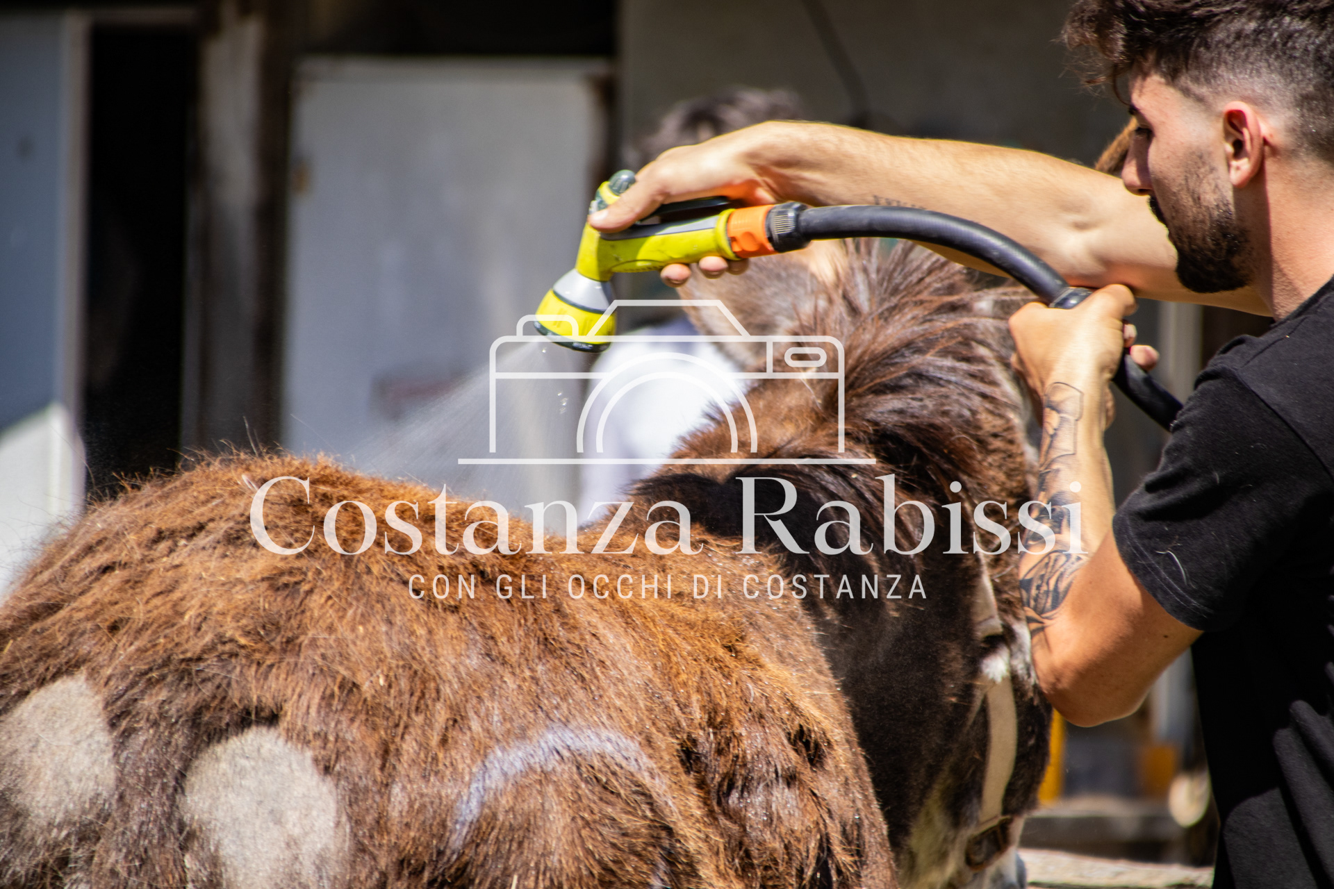 Meeting on the hills - 22