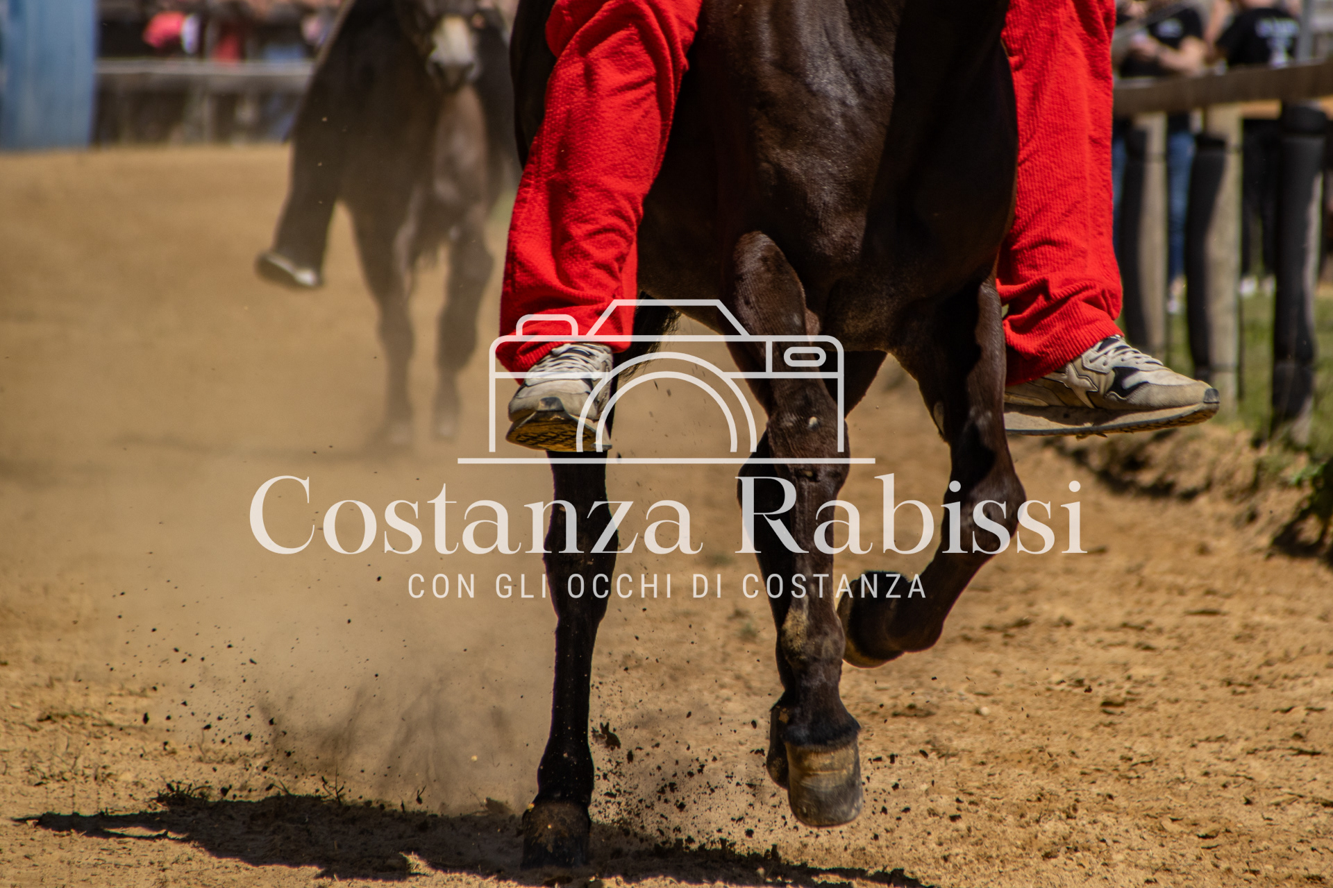 Meeting on the hills - 51