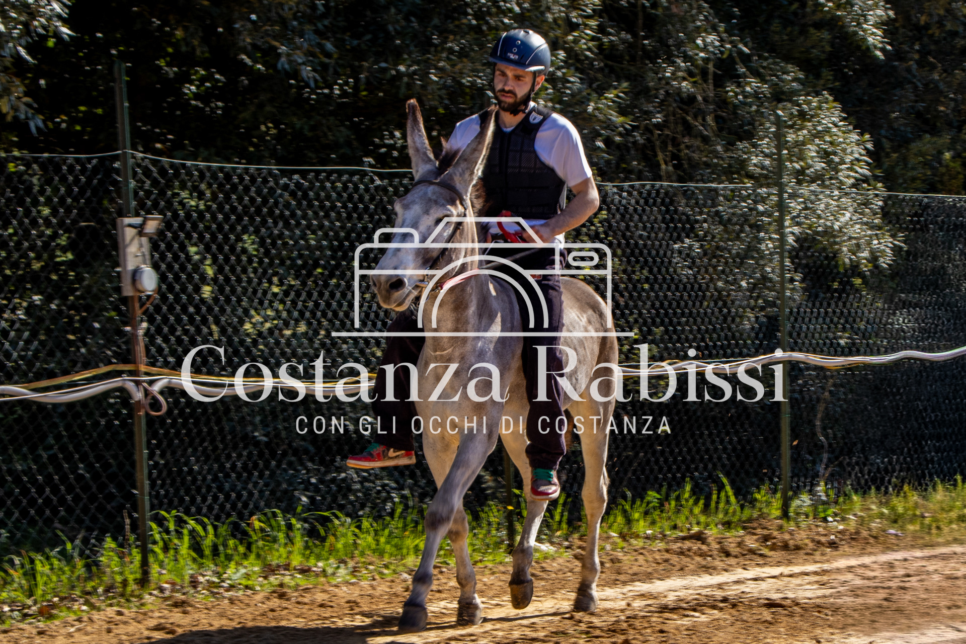 Meeting on the hills - 213