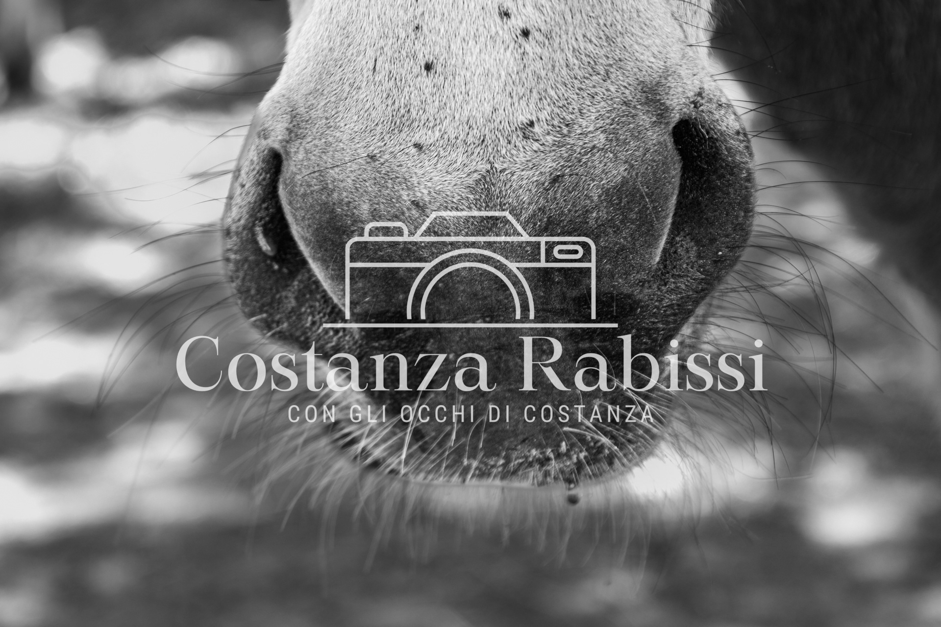 Meeting on the hills - 12