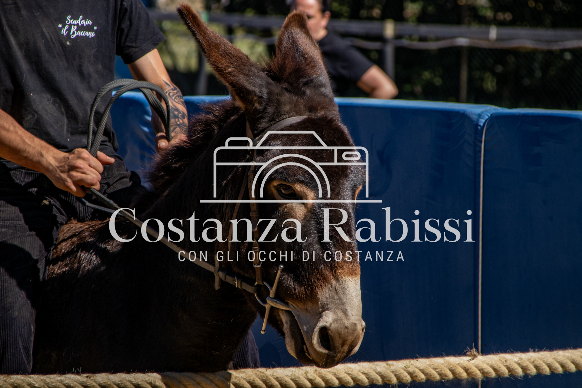 Meeting on the hills - 172