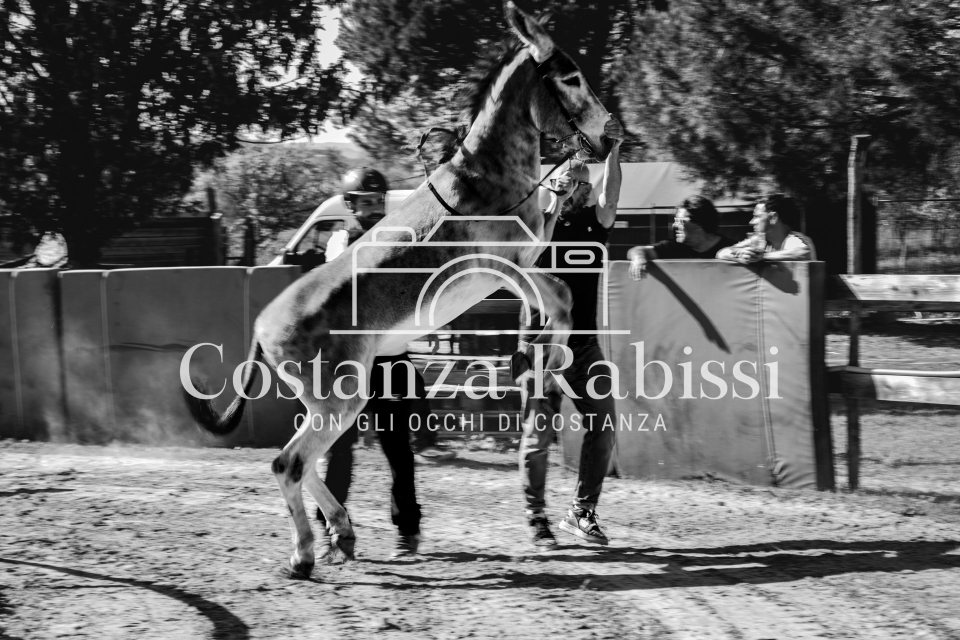 Meeting on the hills - 205