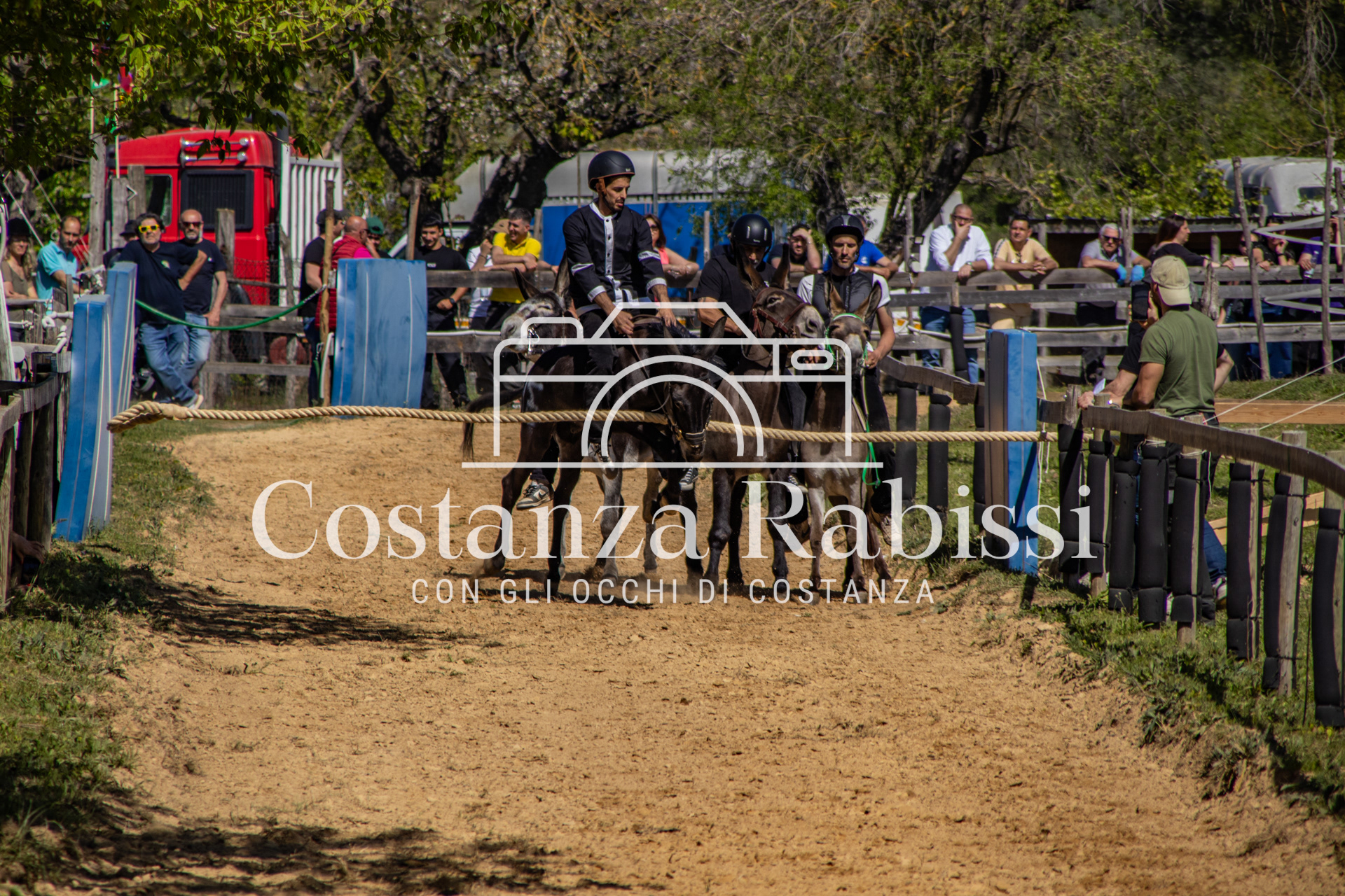 Meeting on the hills - 103