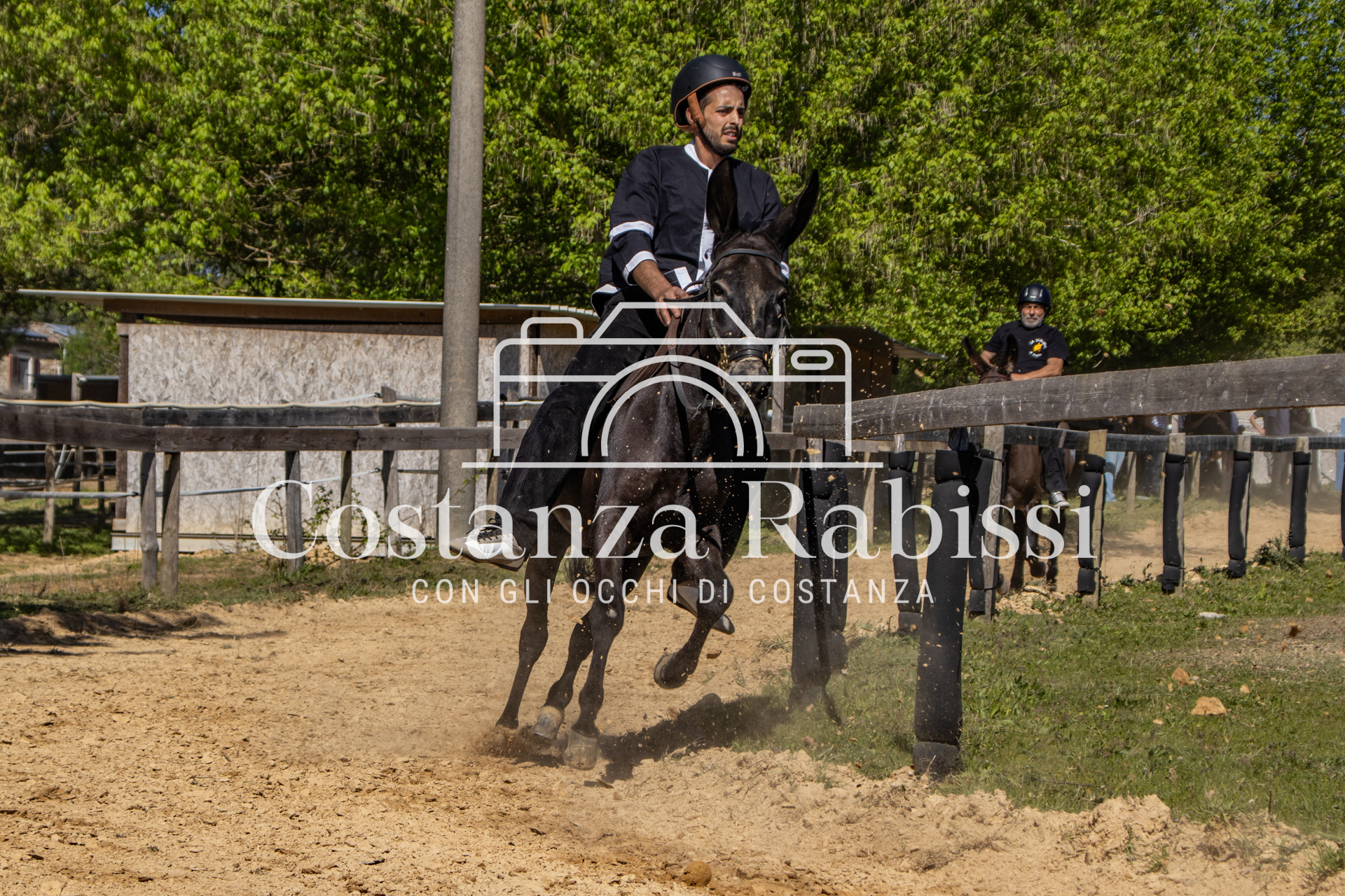 Meeting on the hills - 135