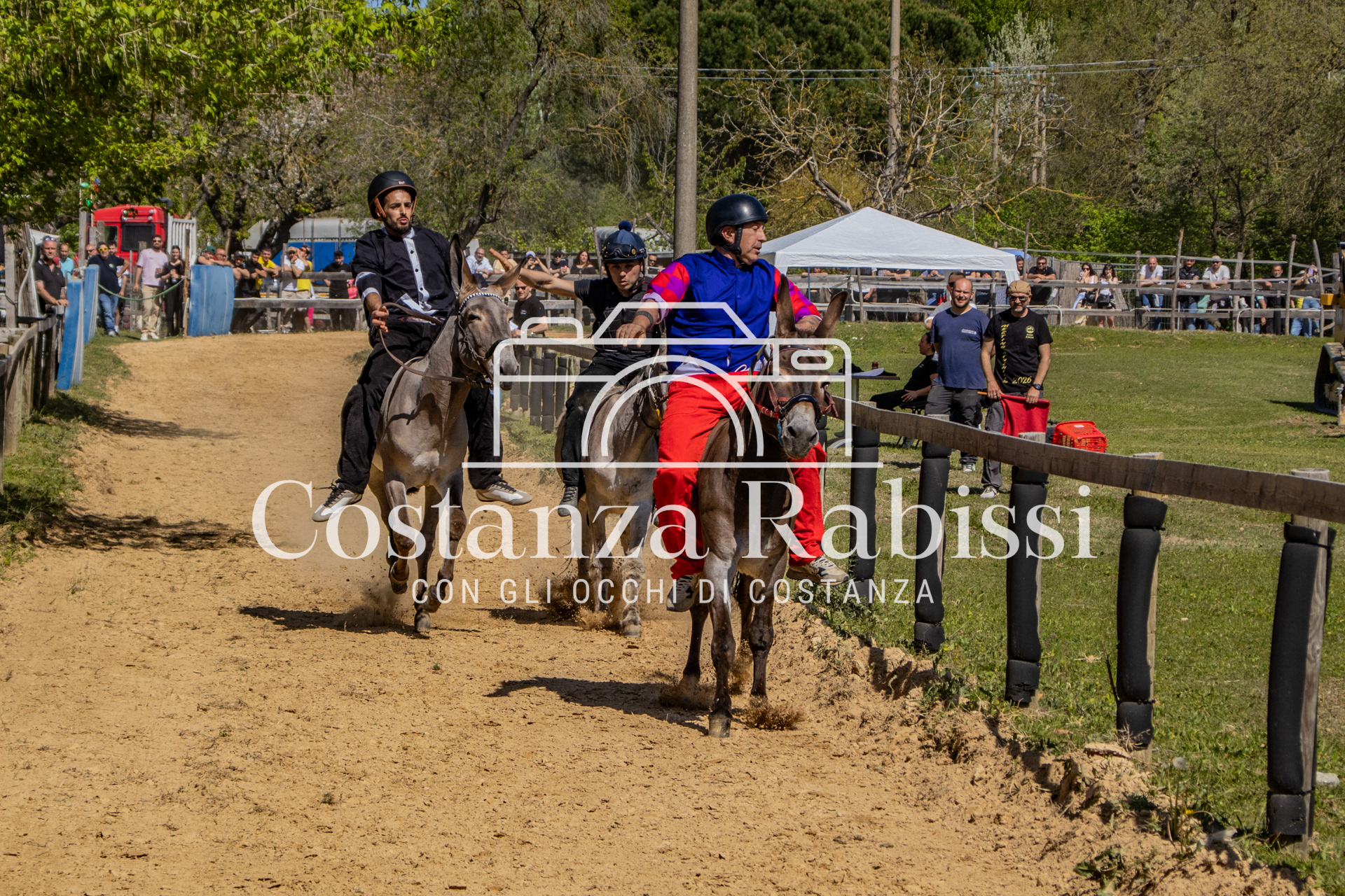 Meeting on the hills - 85