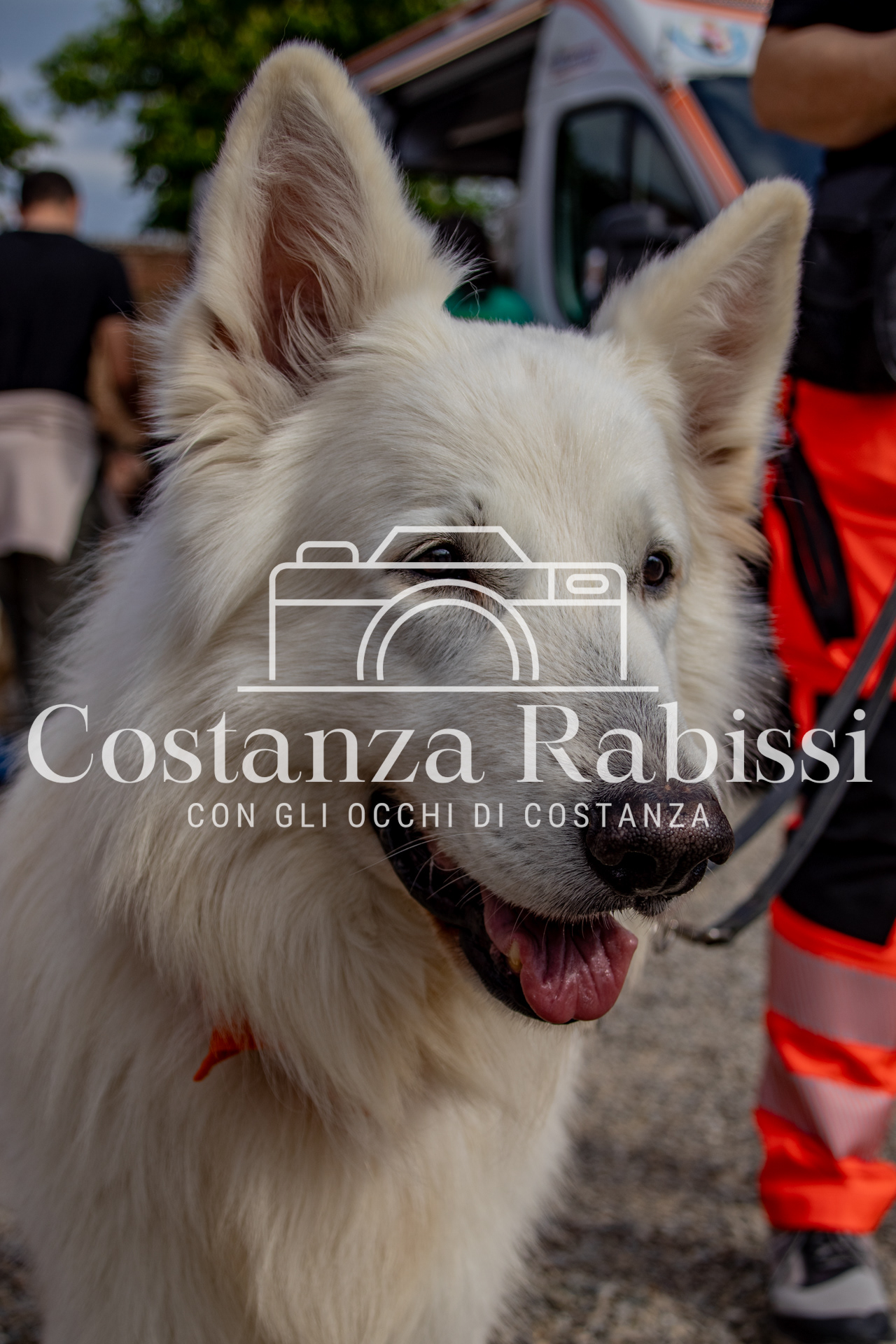 Mettiamoci in moto - 79