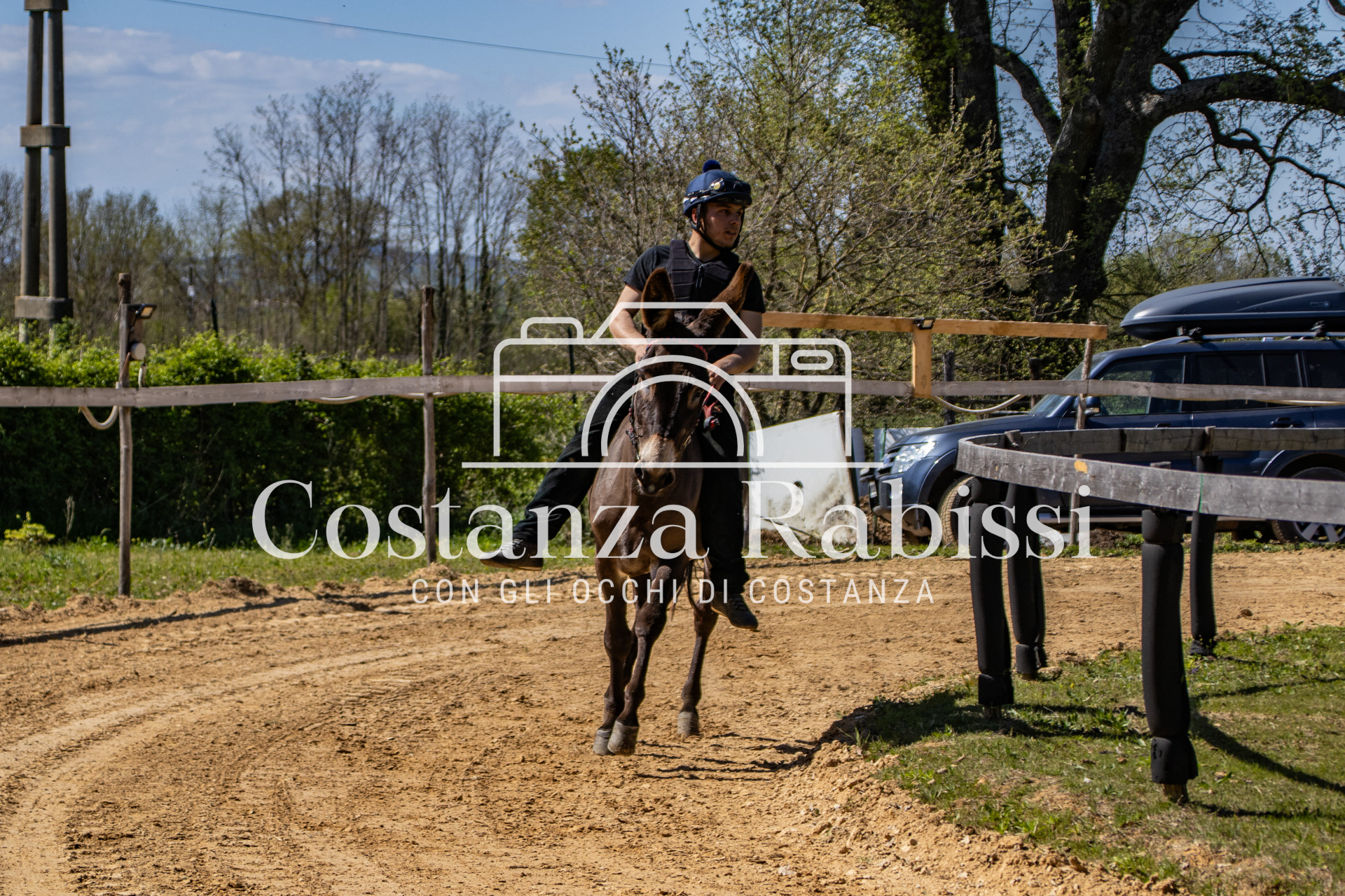 Meeting on the hills - 55