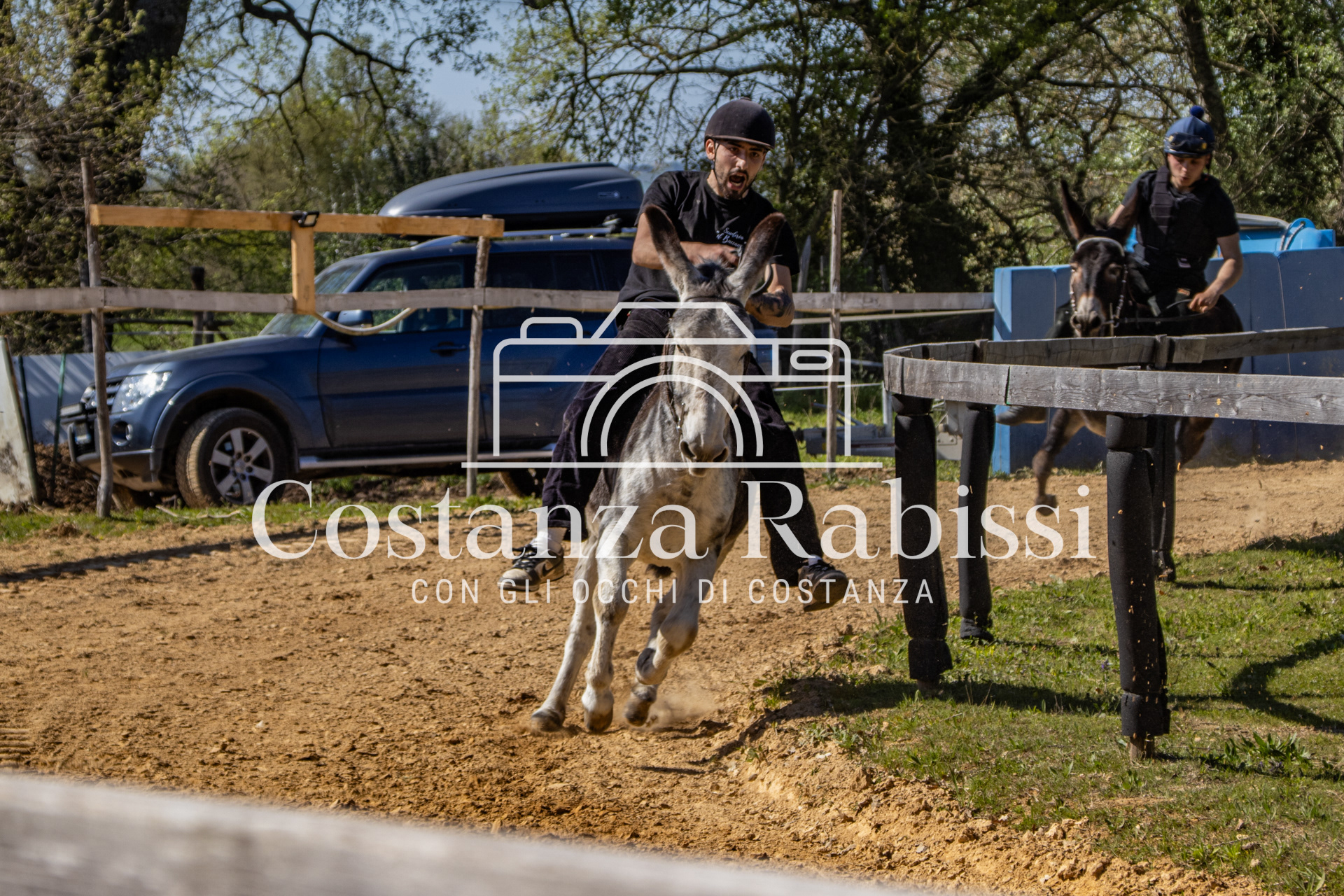 Meeting on the hills - 163