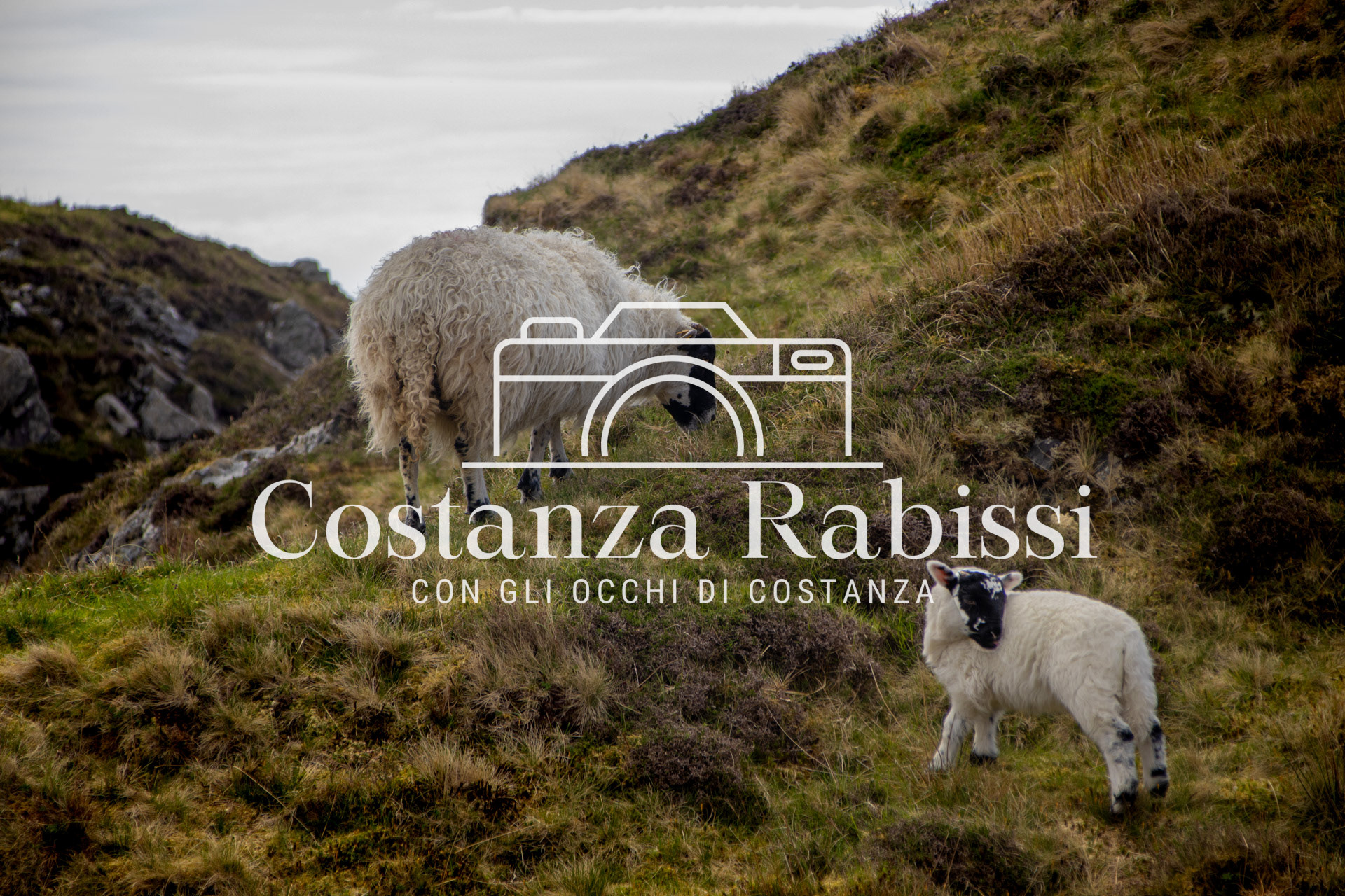 IRLANDA - 276