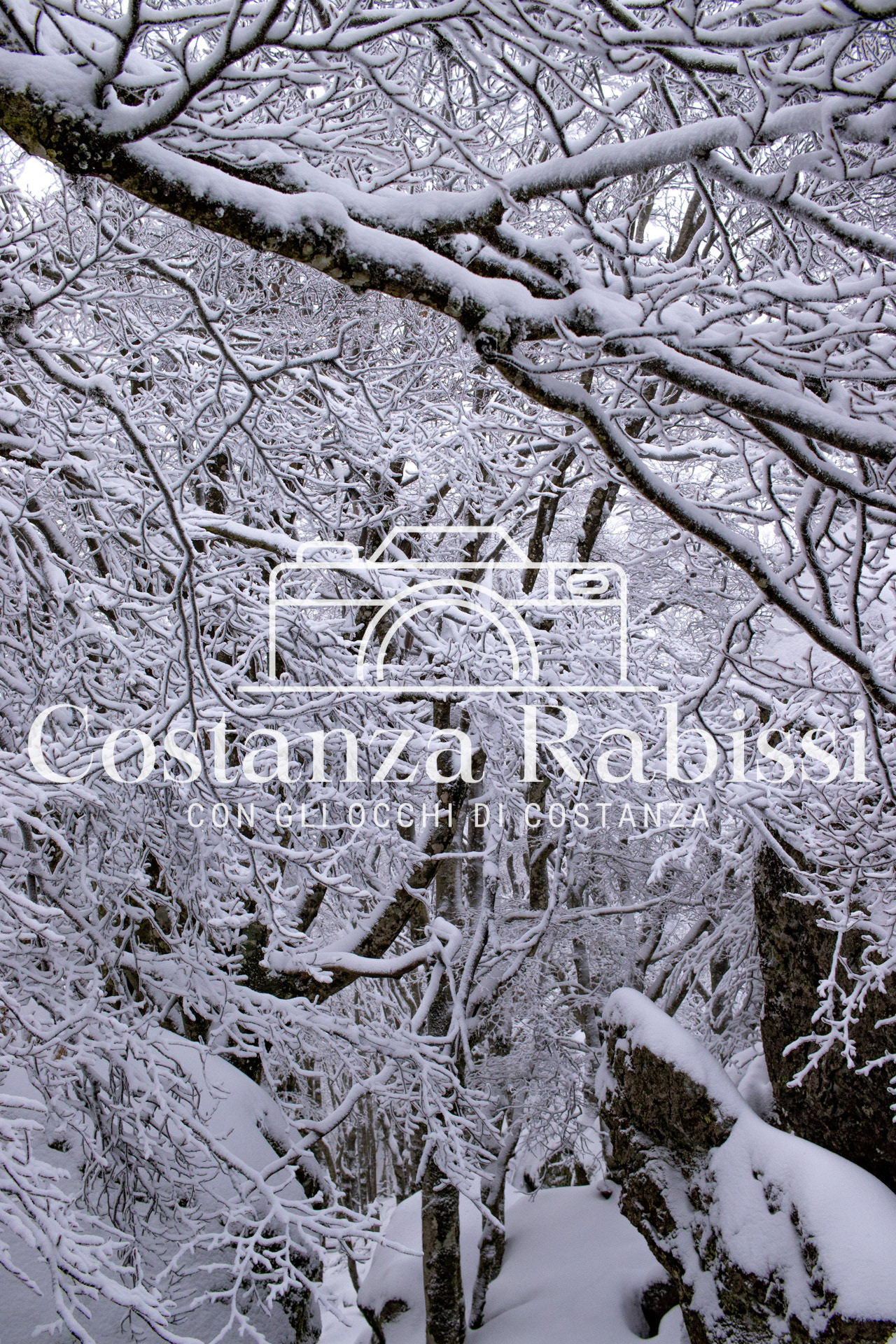 AMIATA INVERNO 26 - 24