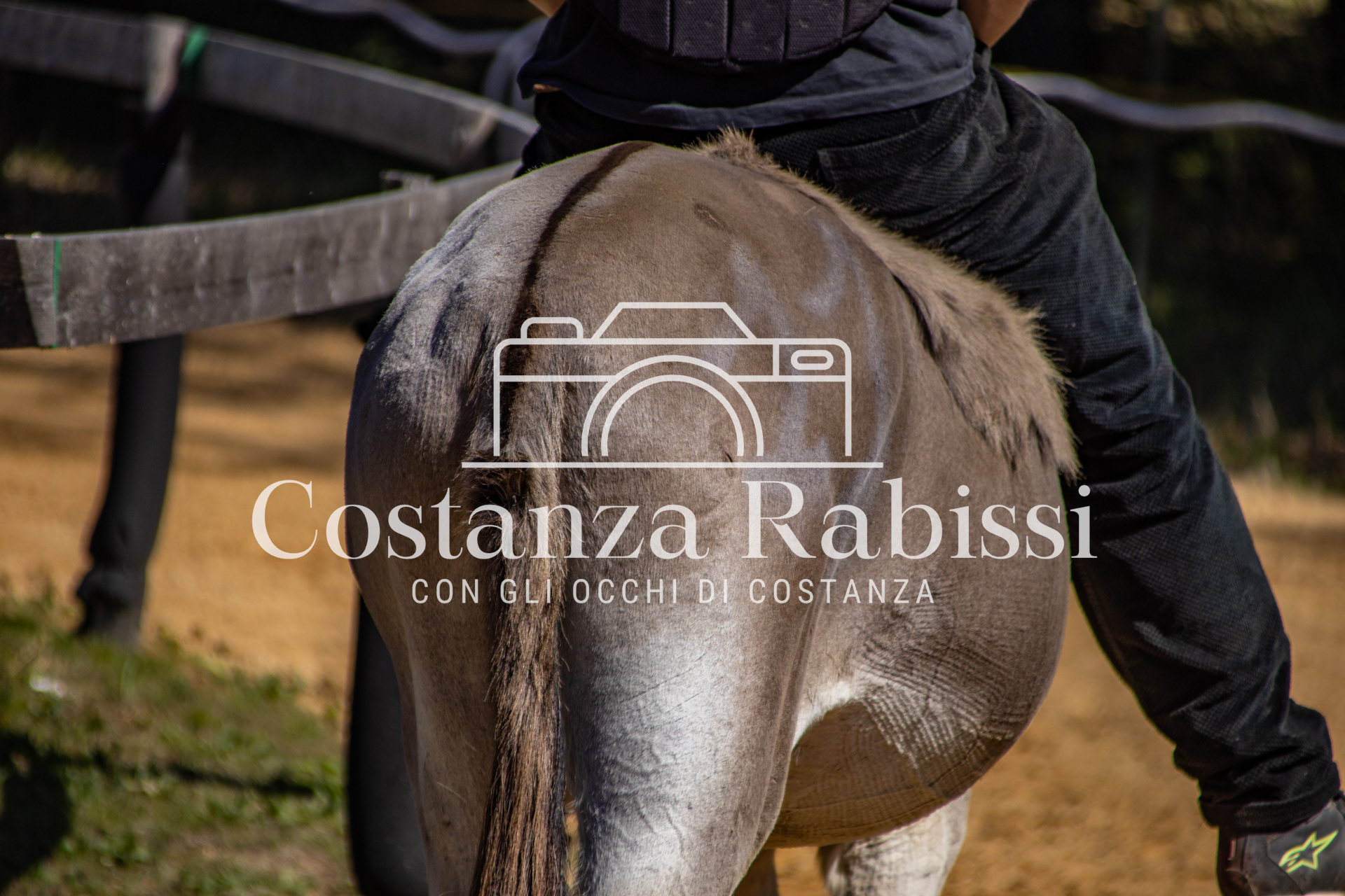 Meeting on the hills - 76