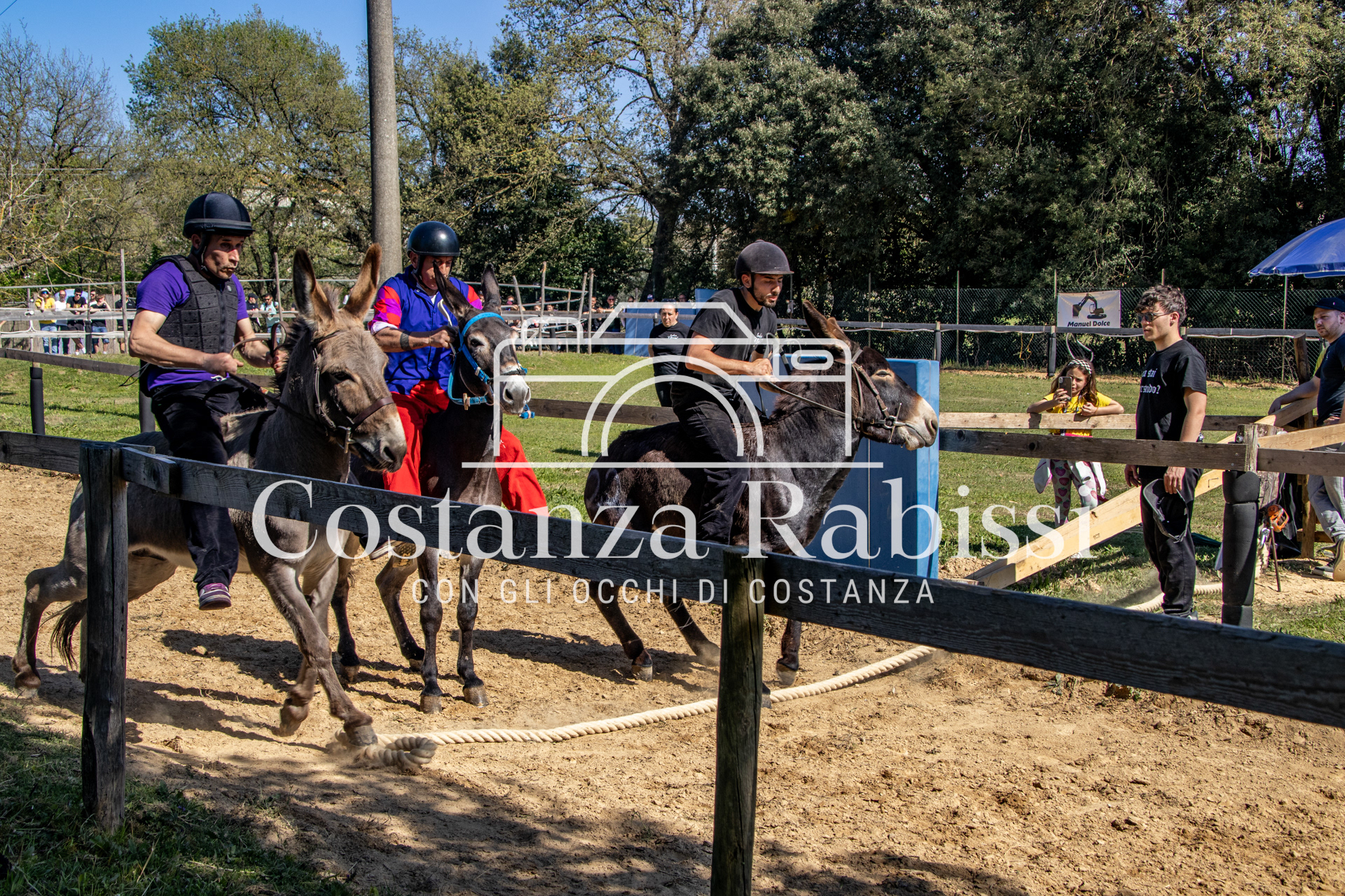 Meeting on the hills - 175