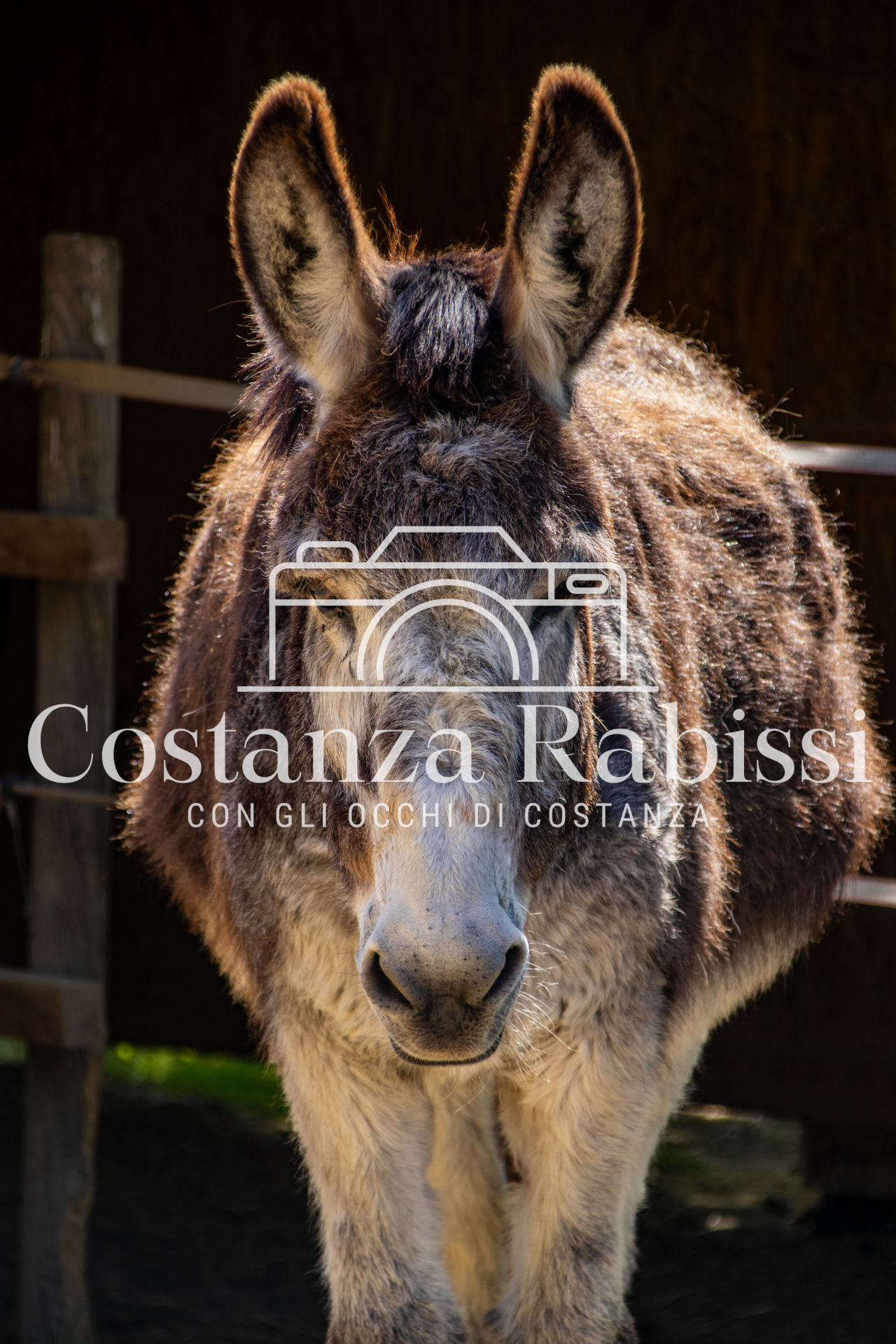 Meeting on the hills - 14