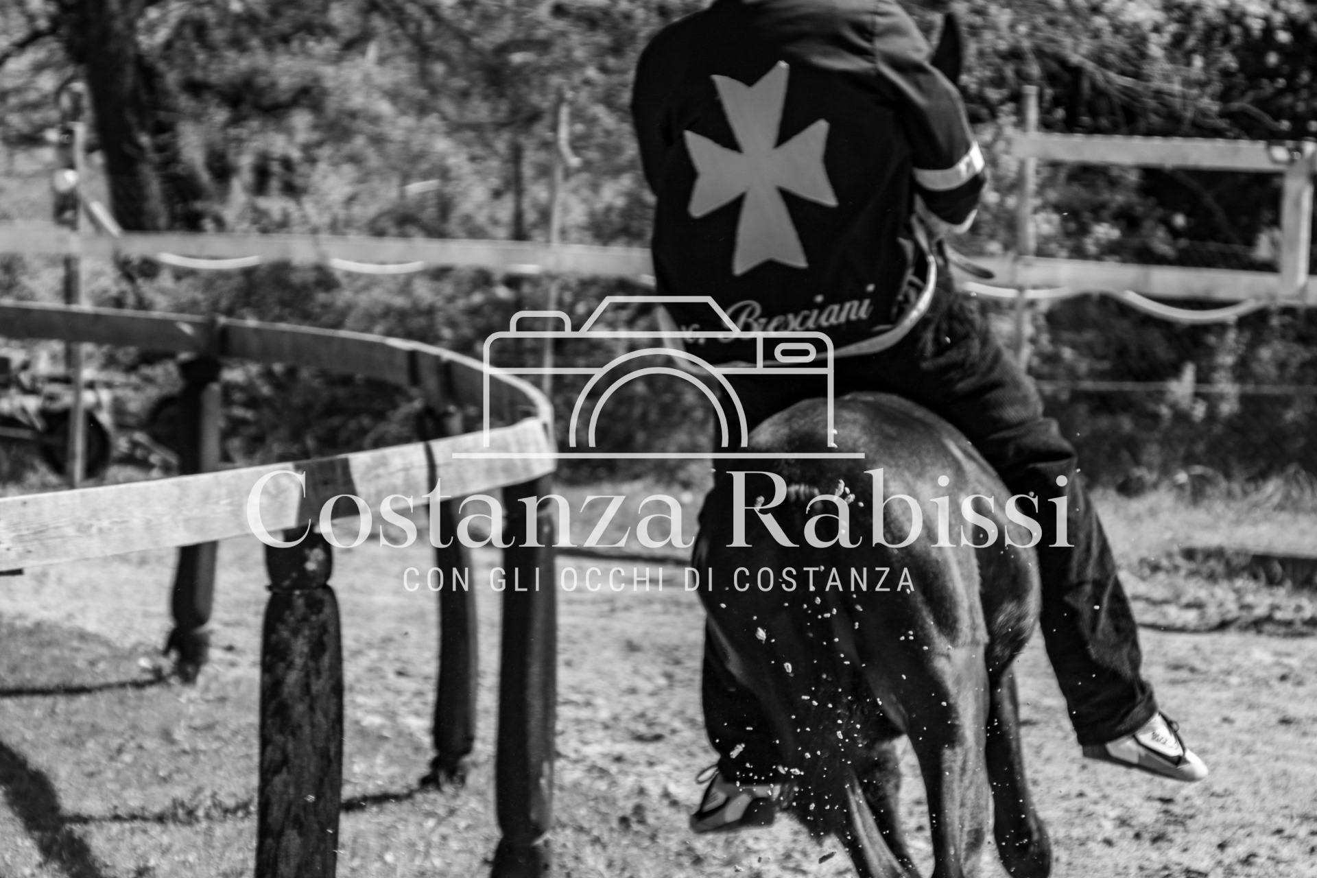 Meeting on the hills - 93