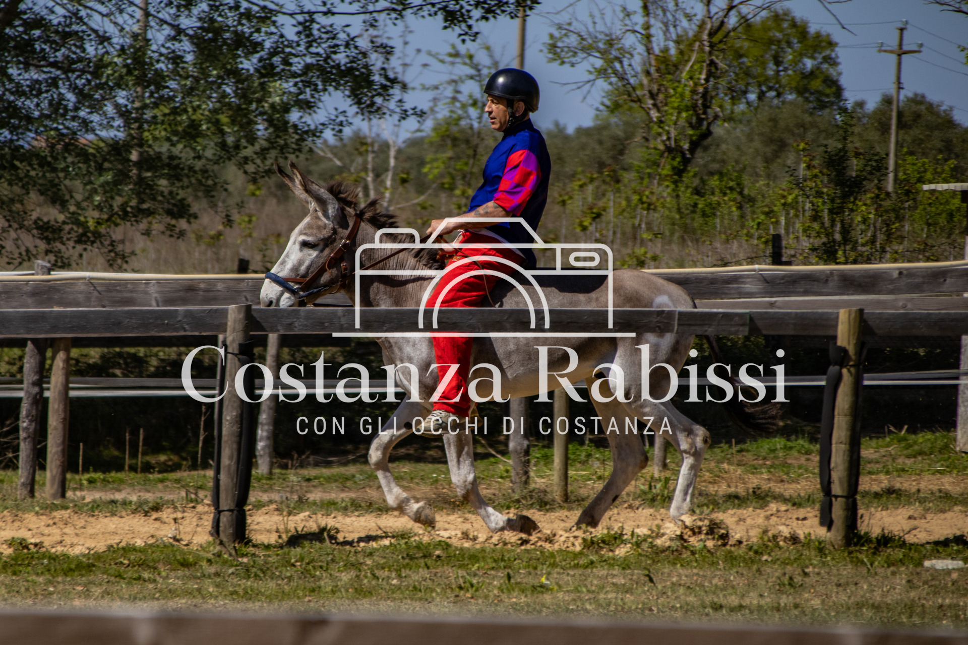 Meeting on the hills - 58