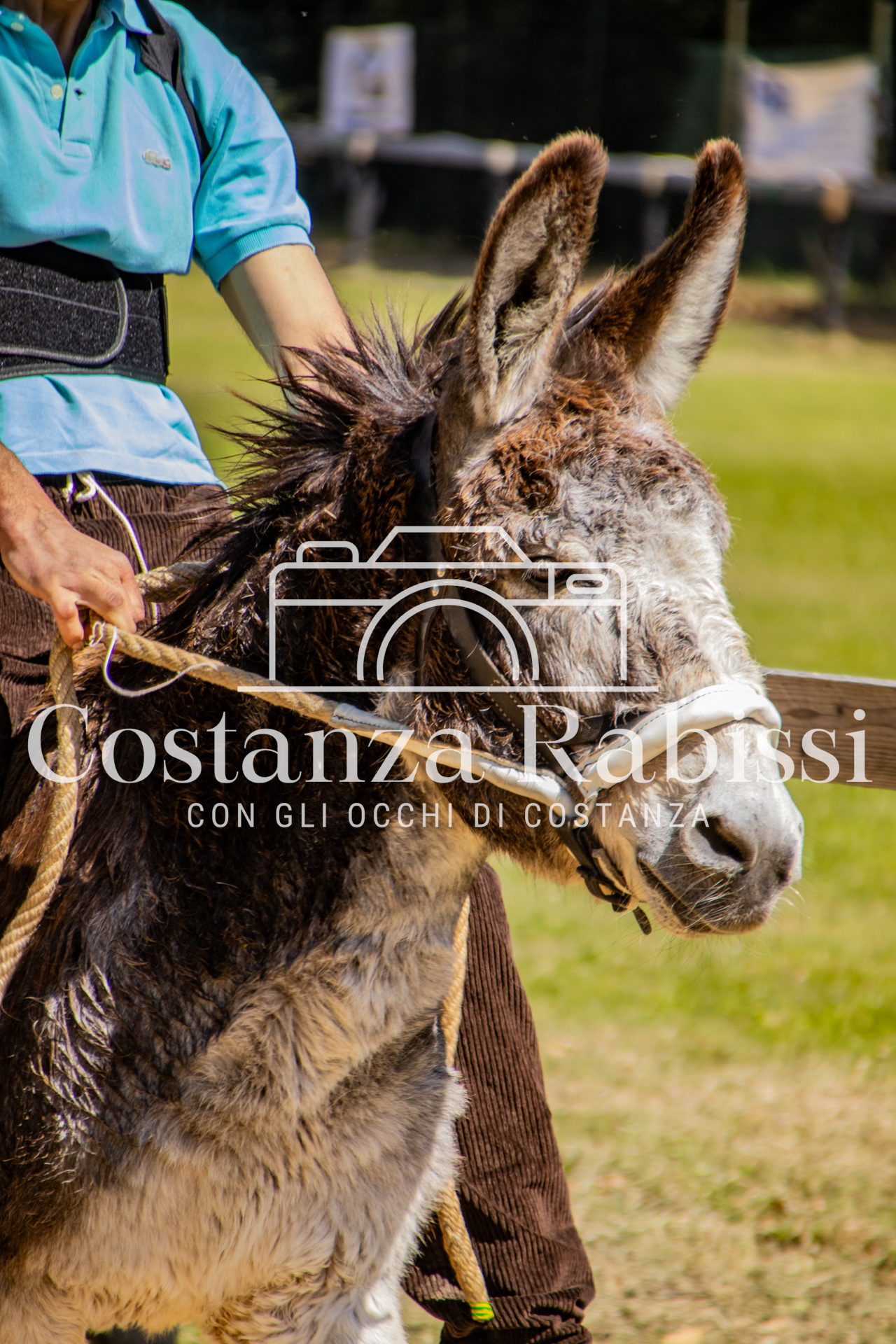 Meeting on the hills - 27