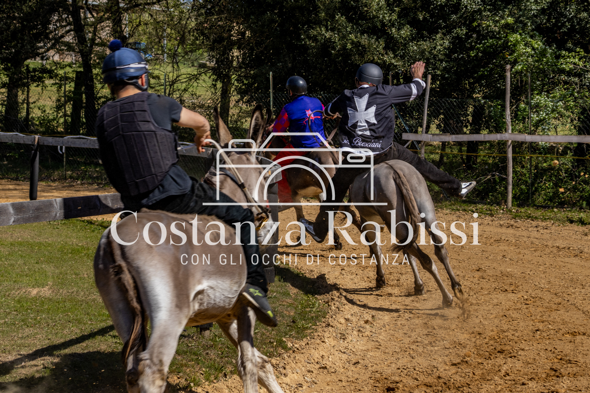 Meeting on the hills - 89