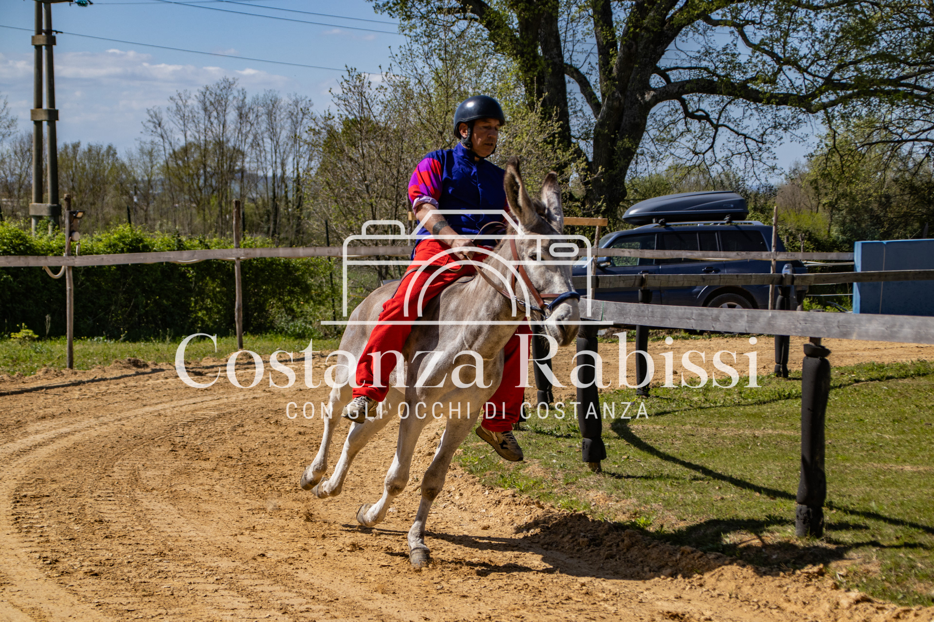 Meeting on the hills - 59