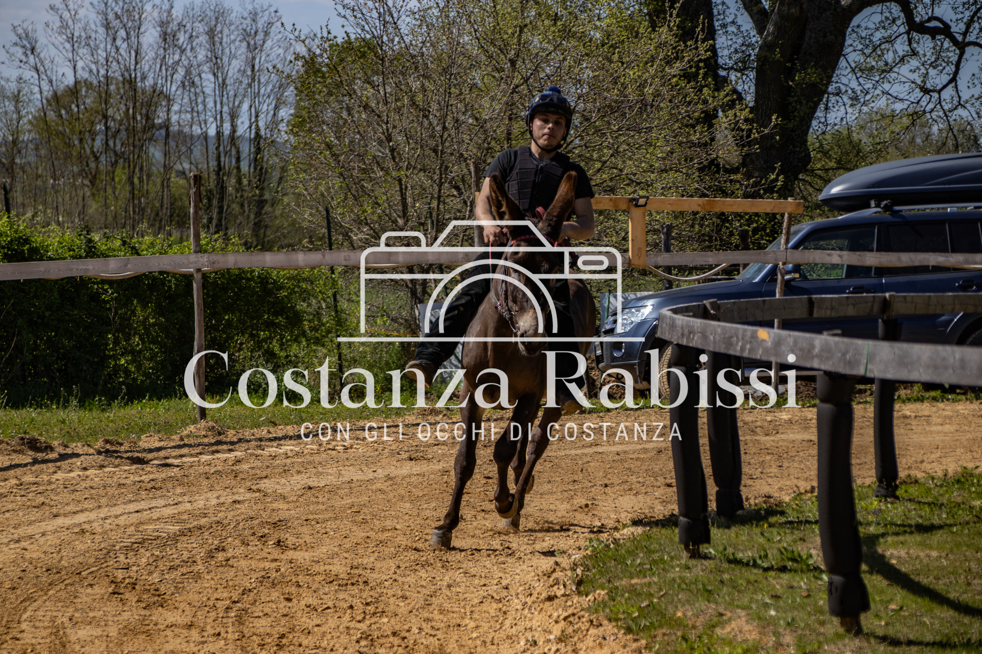 Meeting on the hills - 53