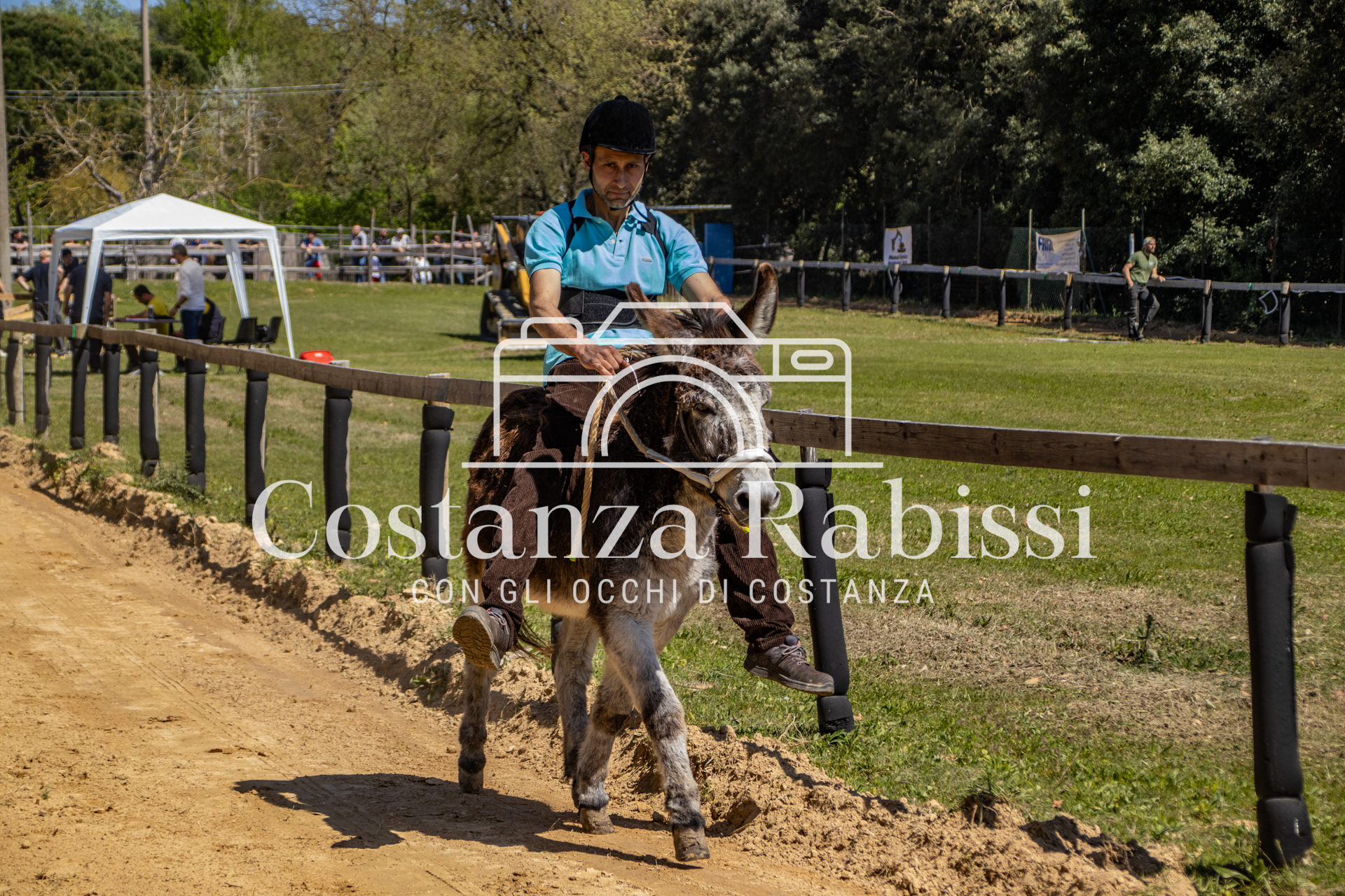 Meeting on the hills - 29