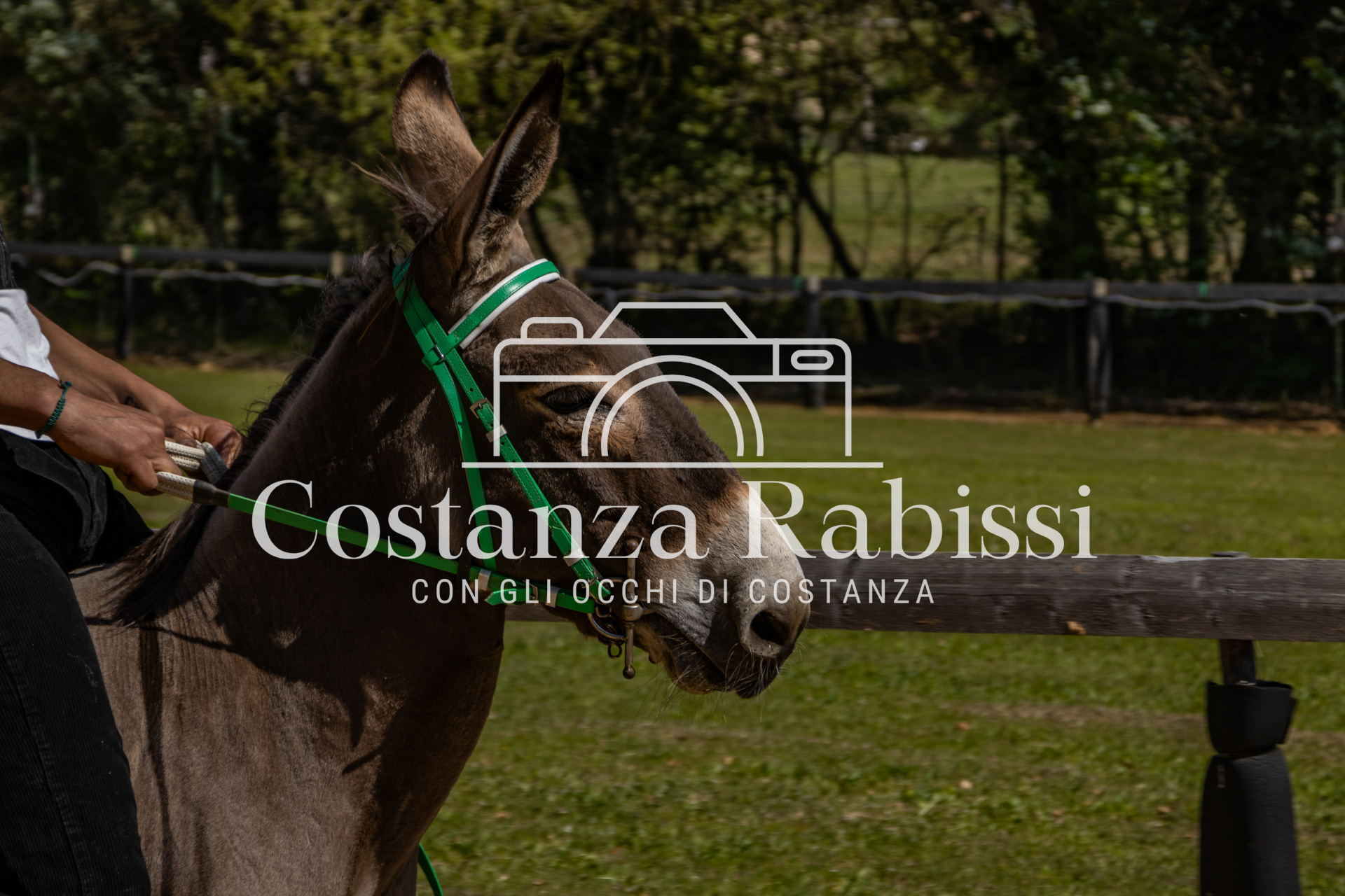 Meeting on the hill - Meeting on the hills - 98