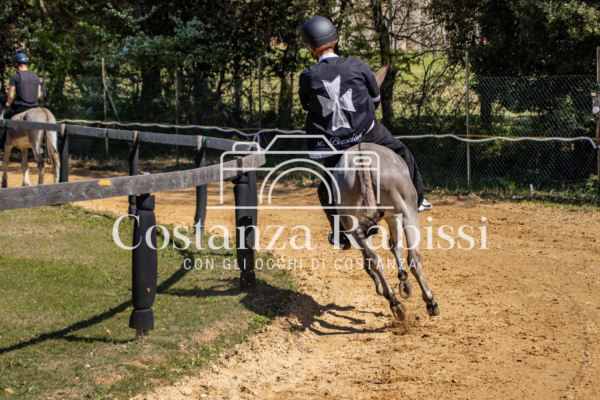 Meeting on the hills - 81