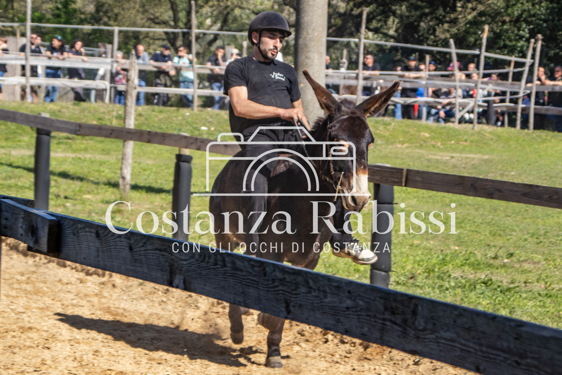 Meeting on the hills - 181