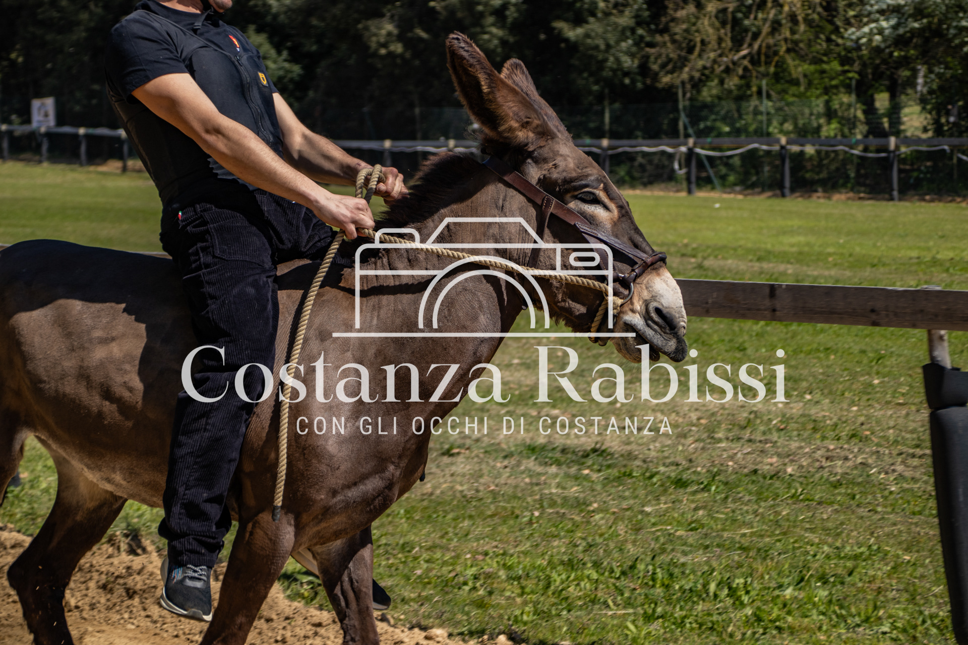 Meeting on the hills - 44