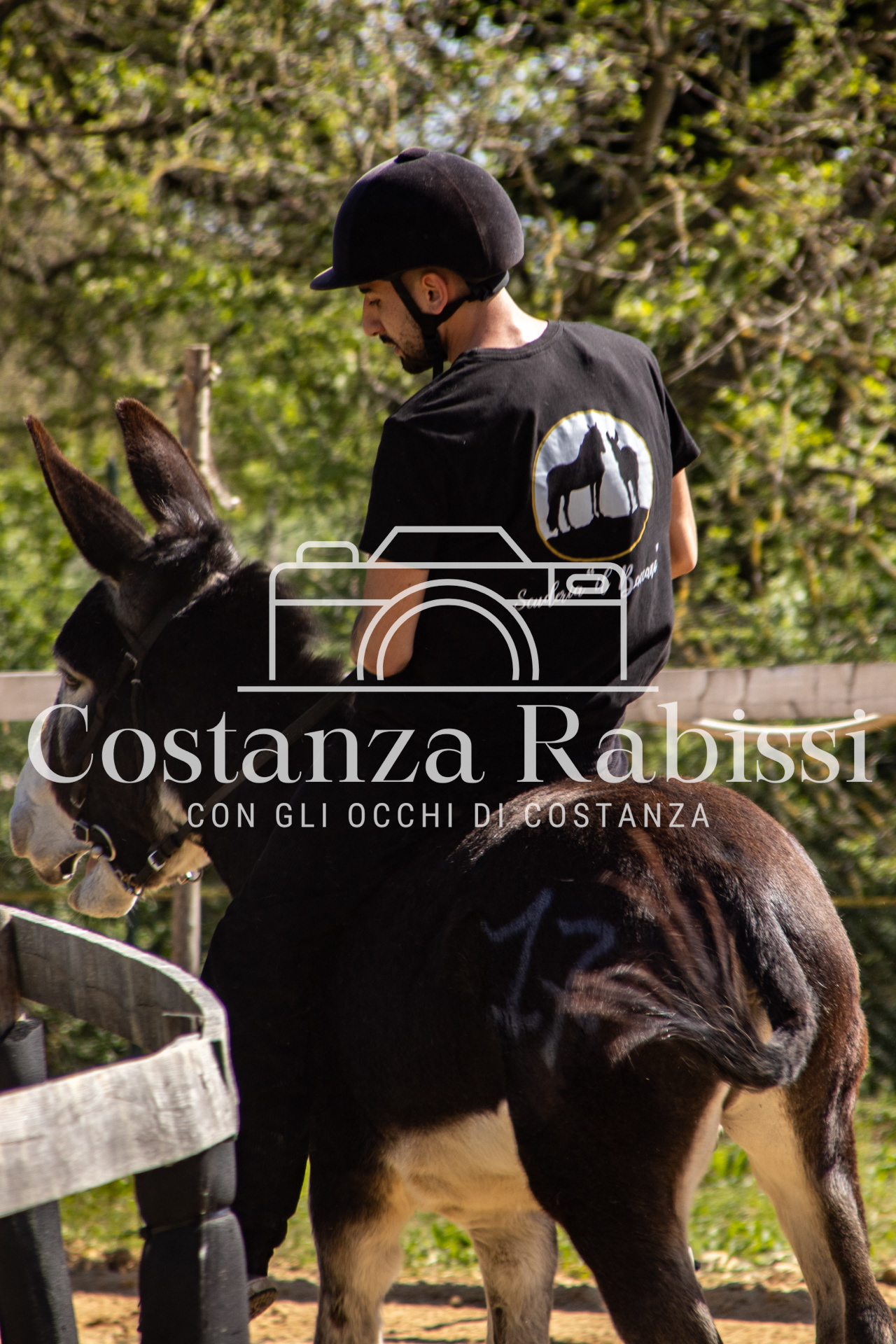 Meeting on the hills - 124