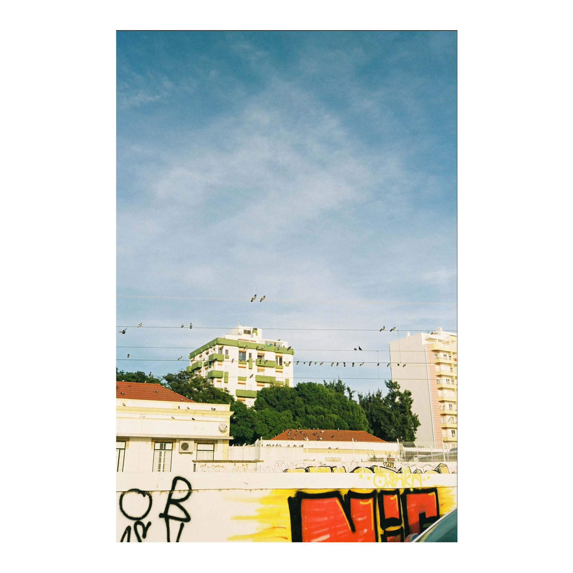 Piu-piu, Portugal, 2022