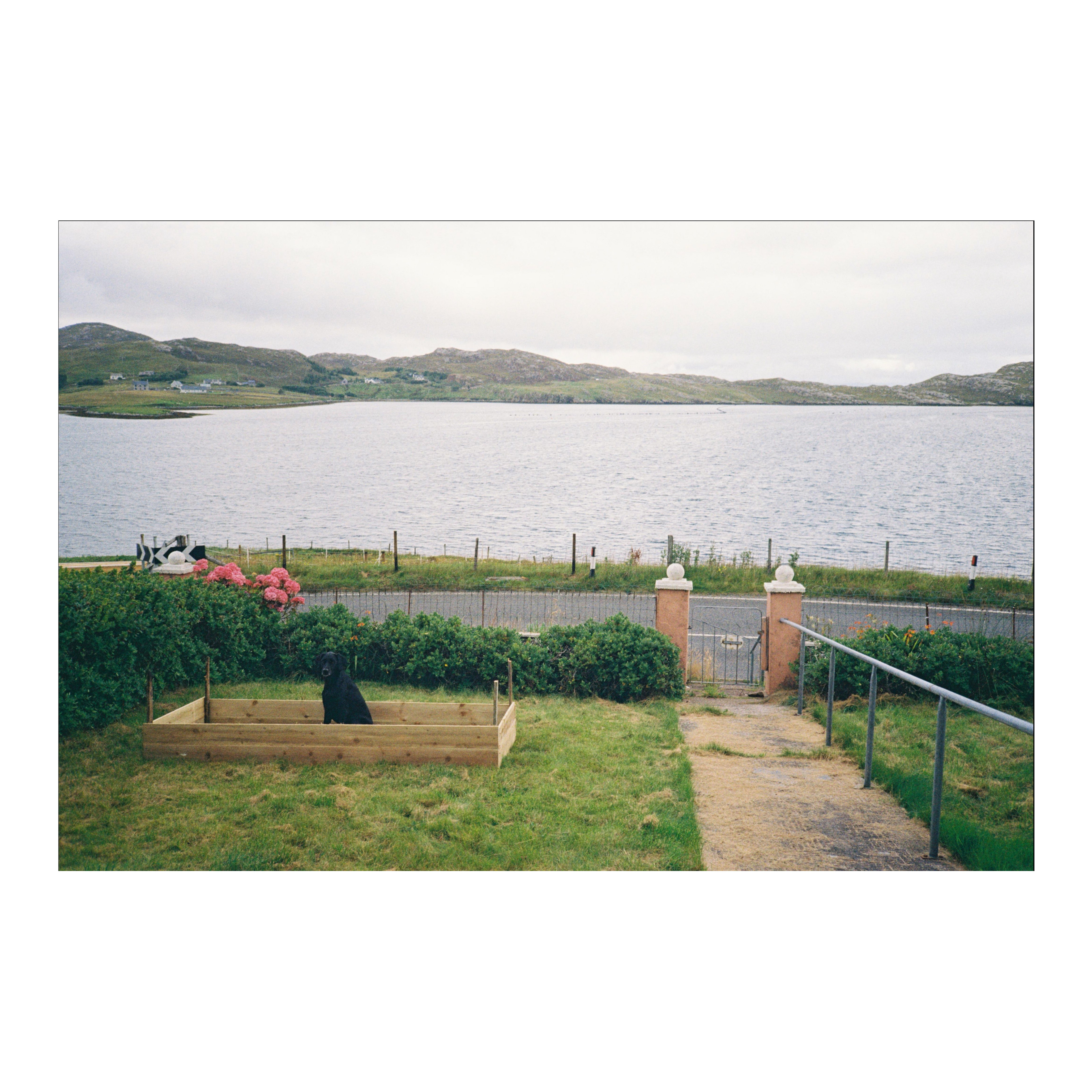 Gardening, Scotland, 2026