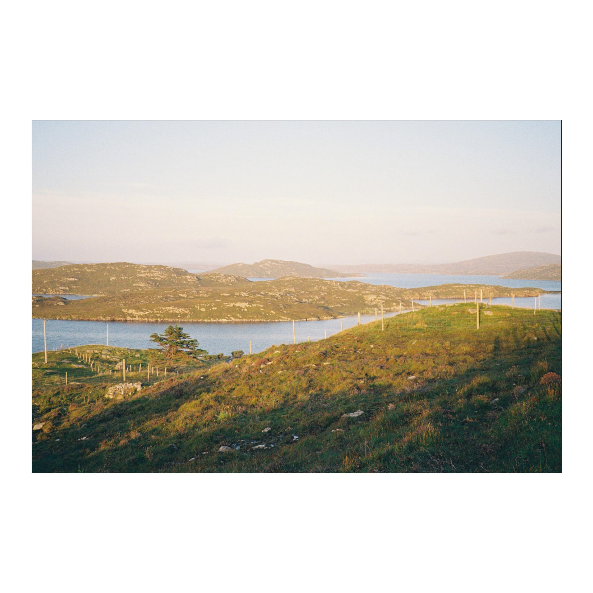 Sunkissed 1, Scotland, 2026