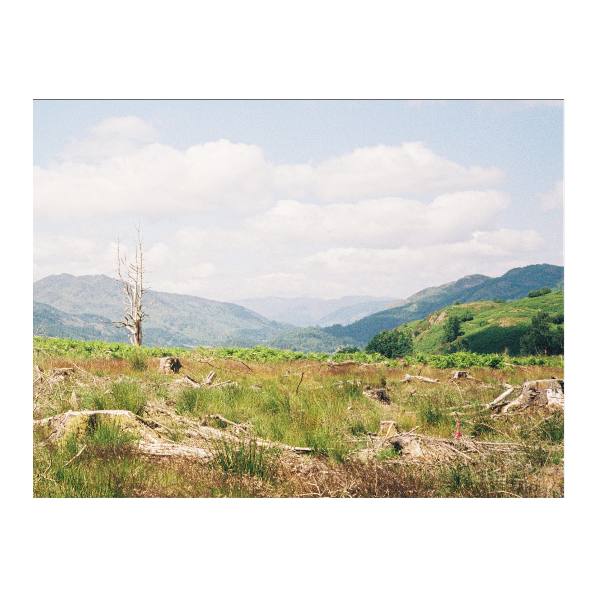 Standing, Scotland, 2025