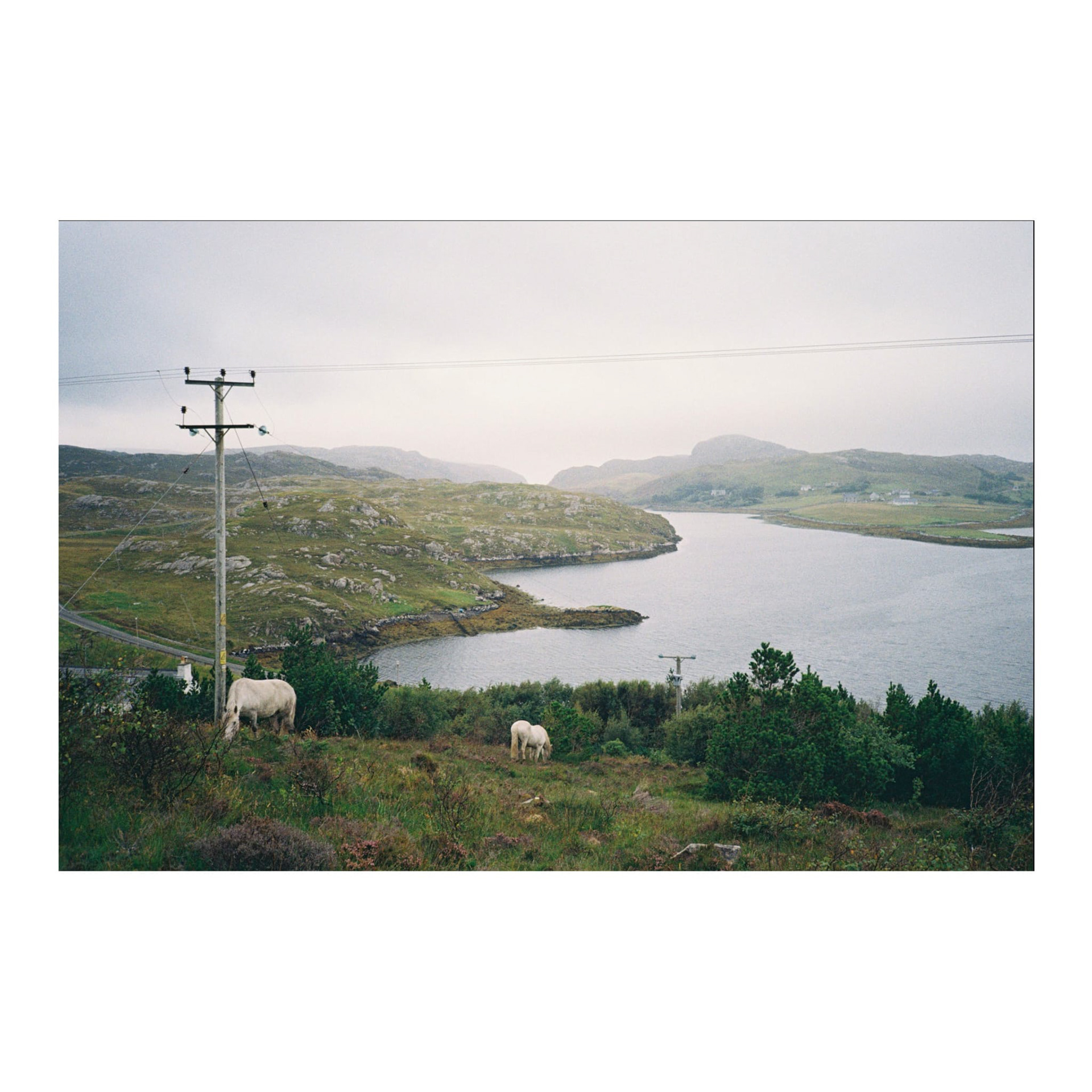 Ponies 2, Scotland, 2026