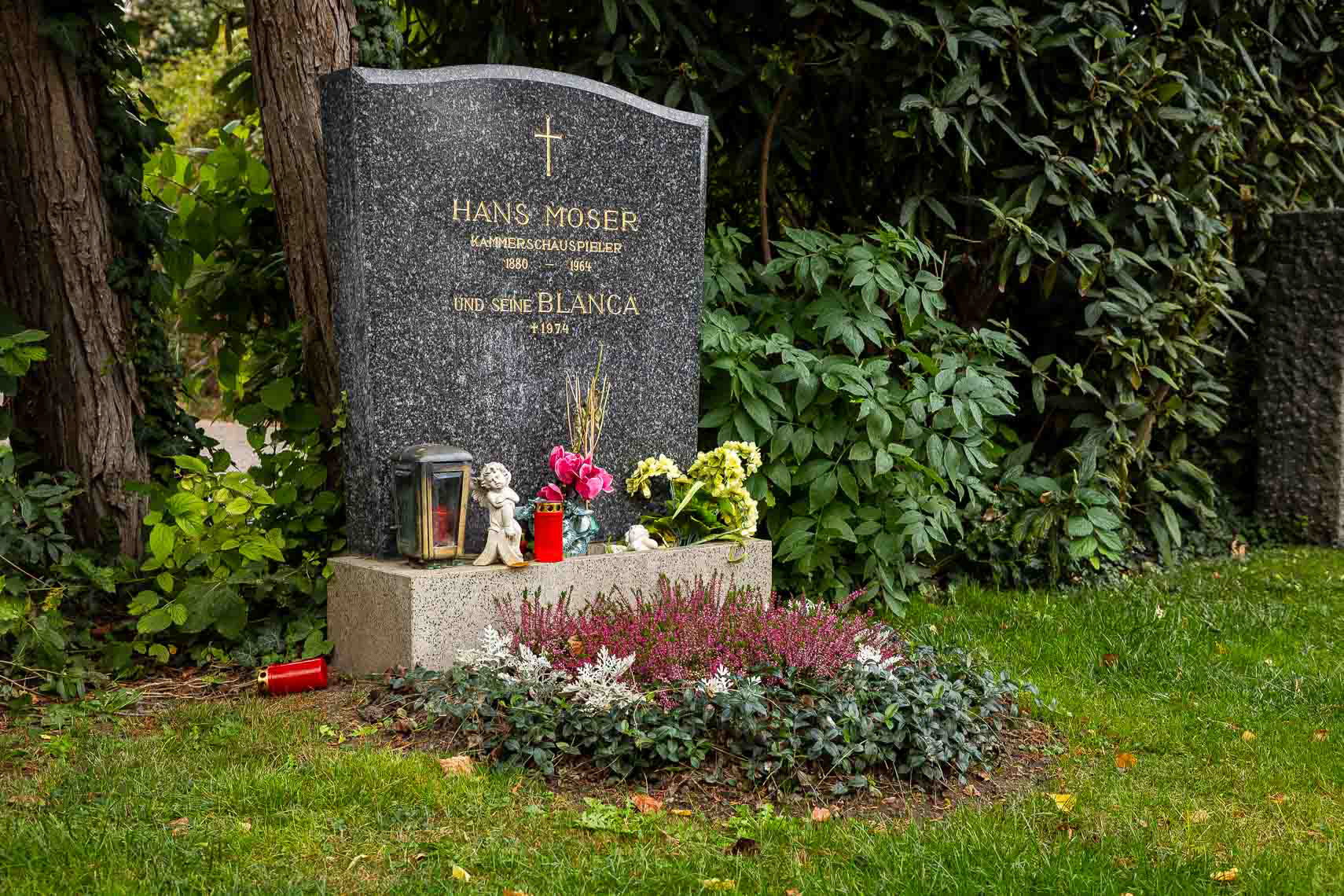 Ehrengrab von Hans Moser (eigentlich Jean Julier, 1880 - 1964, verstarb an Lungenkrebs) auf dem Wiener Zentralfriedhof in Gruppe 32 C, Nr. 27. Seine Frau Blanca Moser wurde später, im Jahr 1974, ebenfalls auf dem Zentralfriedhof bestattet.