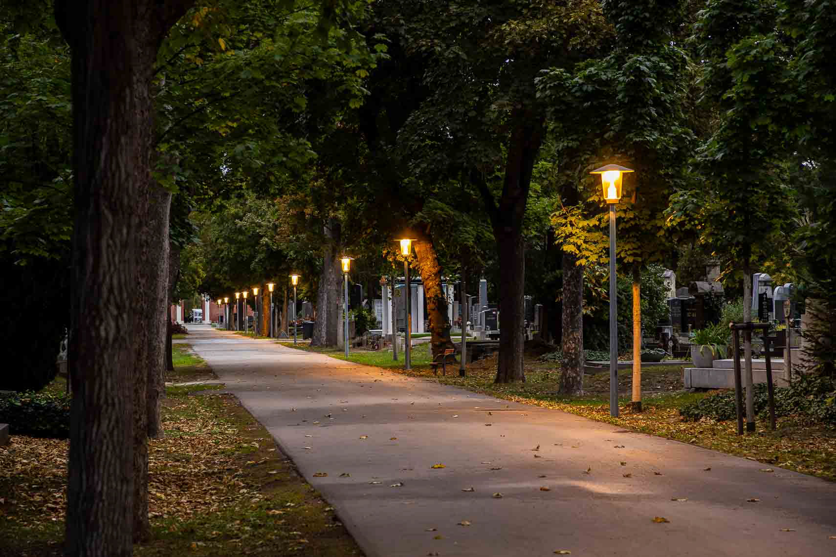 Gehweg mit beleuchteten Straßenleuchten auf dem Zentralfriedhof Wie
