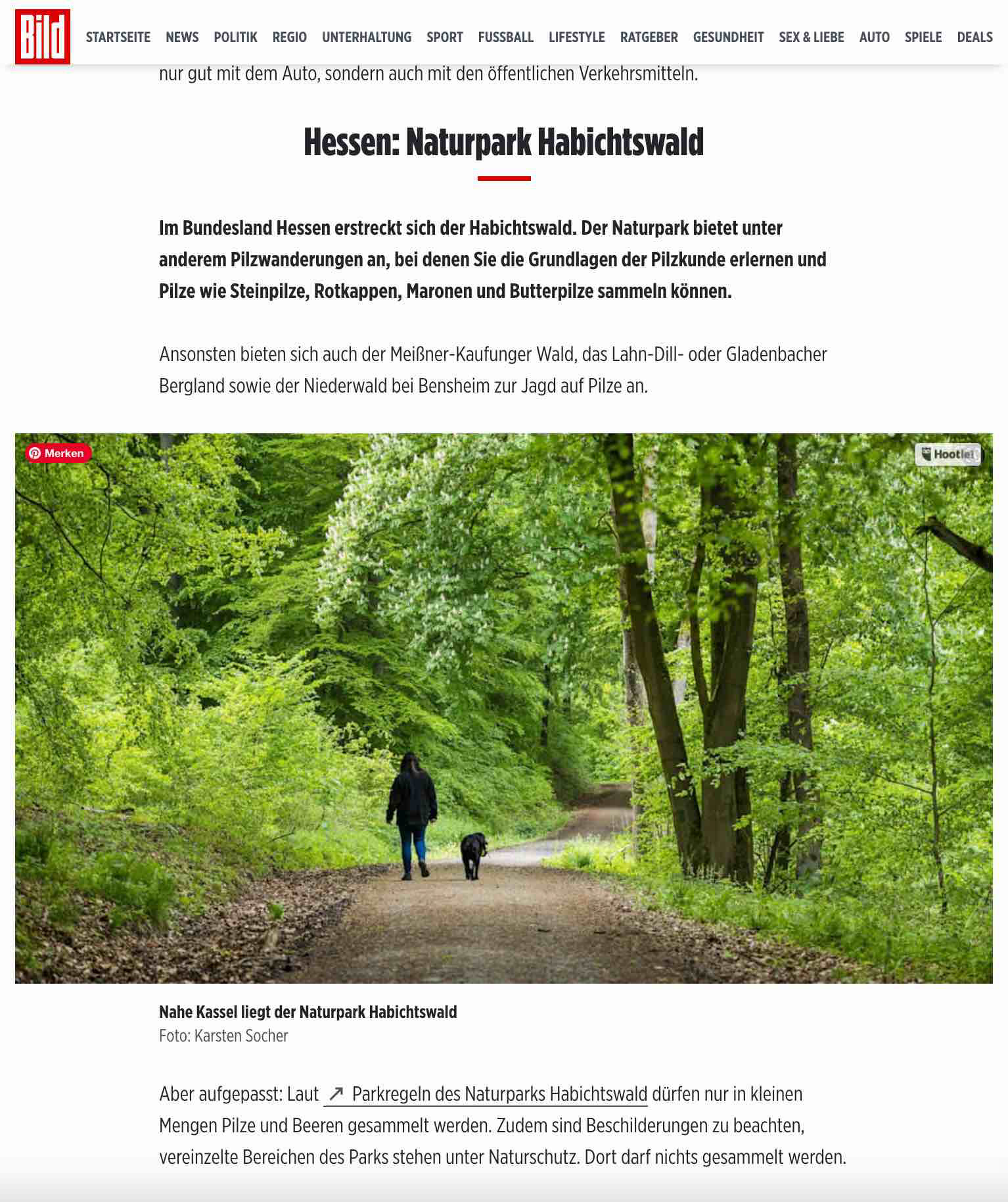 „Hier finden Sie viele Pilze: Deutschlands beste Pilz-Regionen im Überblick”; BILD.de; 18. November 2023; Foto