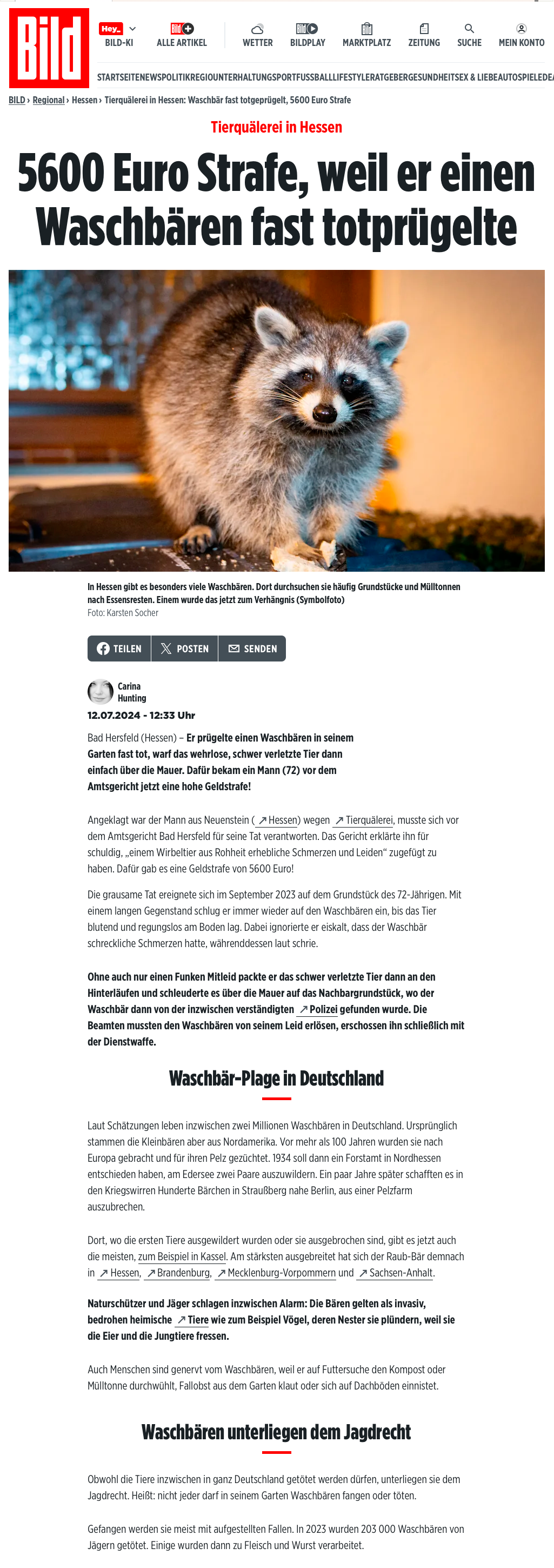 „5600 Euro Strafe, weil er einen Waschbären fast totprügelte”; BILD.de; 12. Juli 2024; Foto