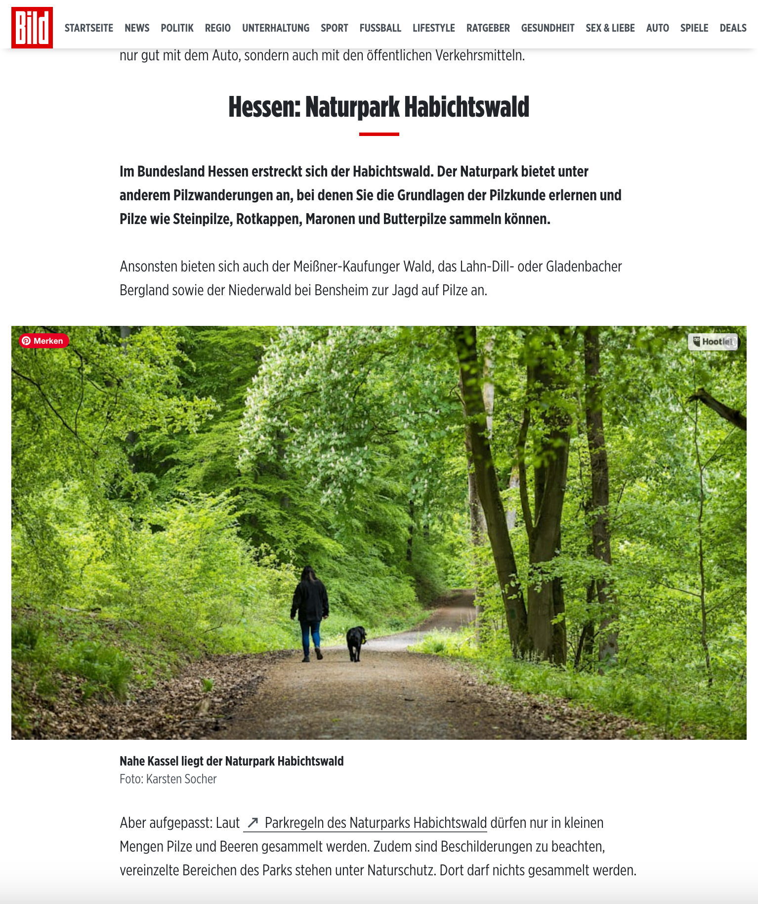 „Hier finden Sie viele Pilze: Deutschlands beste Pilz-Regionen im Überblick”; BILD.de; 18. November 2023; Foto