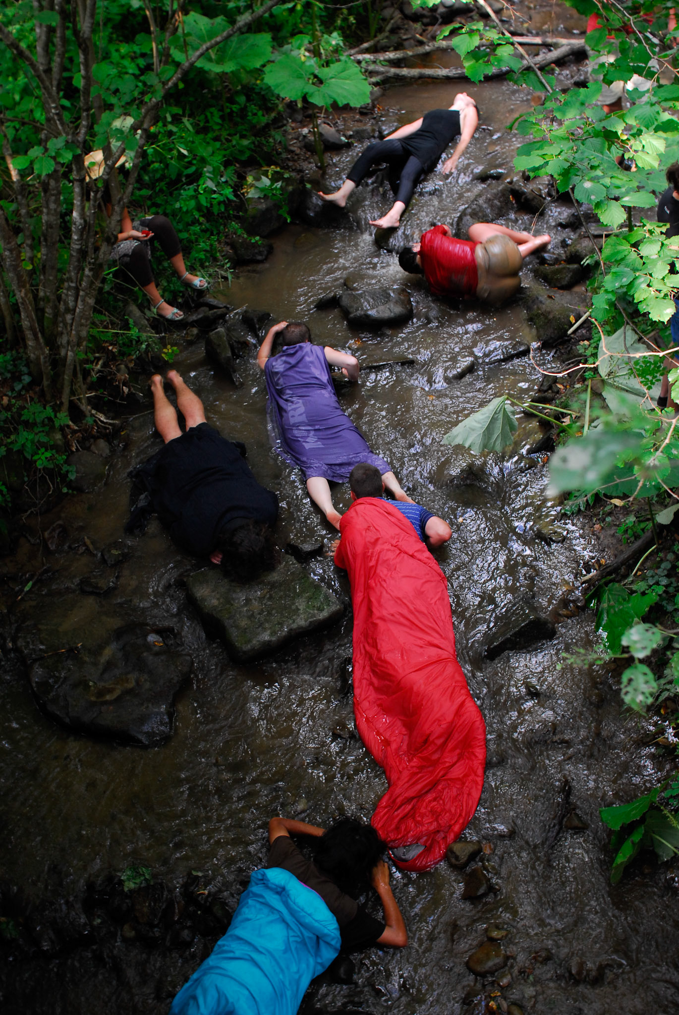 Minimum Party Society