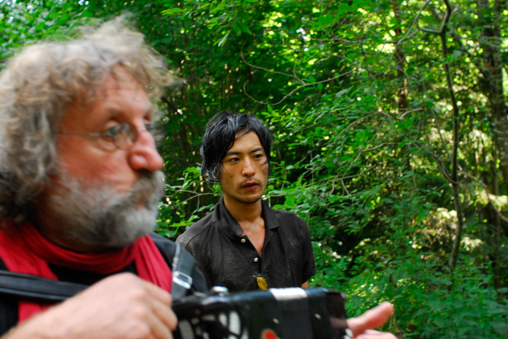 Minimum Party Society