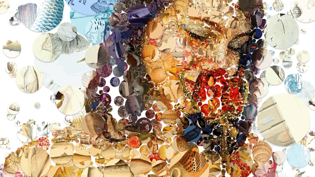'Two Roses' digital mosaic artwork by Charis Tsevis composed of hundreds of natural images including shells and marine illustrations arranged to form a larger floral pattern - demonstrating custom algorithmic techniques that balance computational precision with artistic vision"