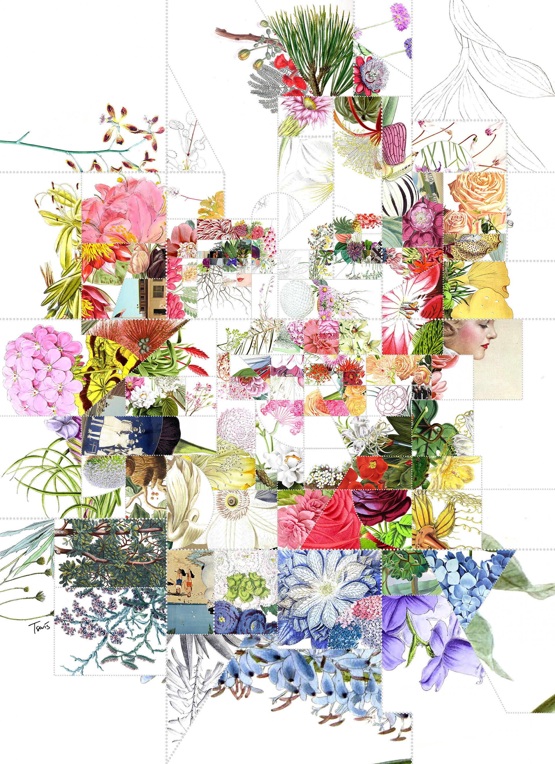 Dr Jill Biden, An American Lady, digital portrait from flowers in a contemporary mosaic style