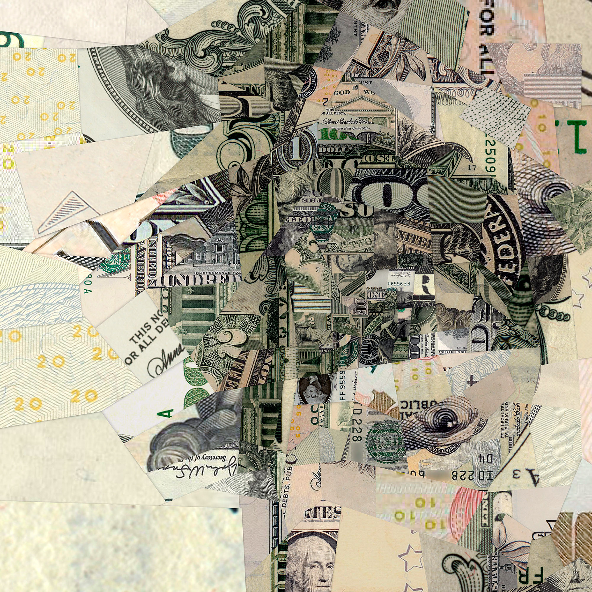 Portrait from dollars, Illustrative journalism